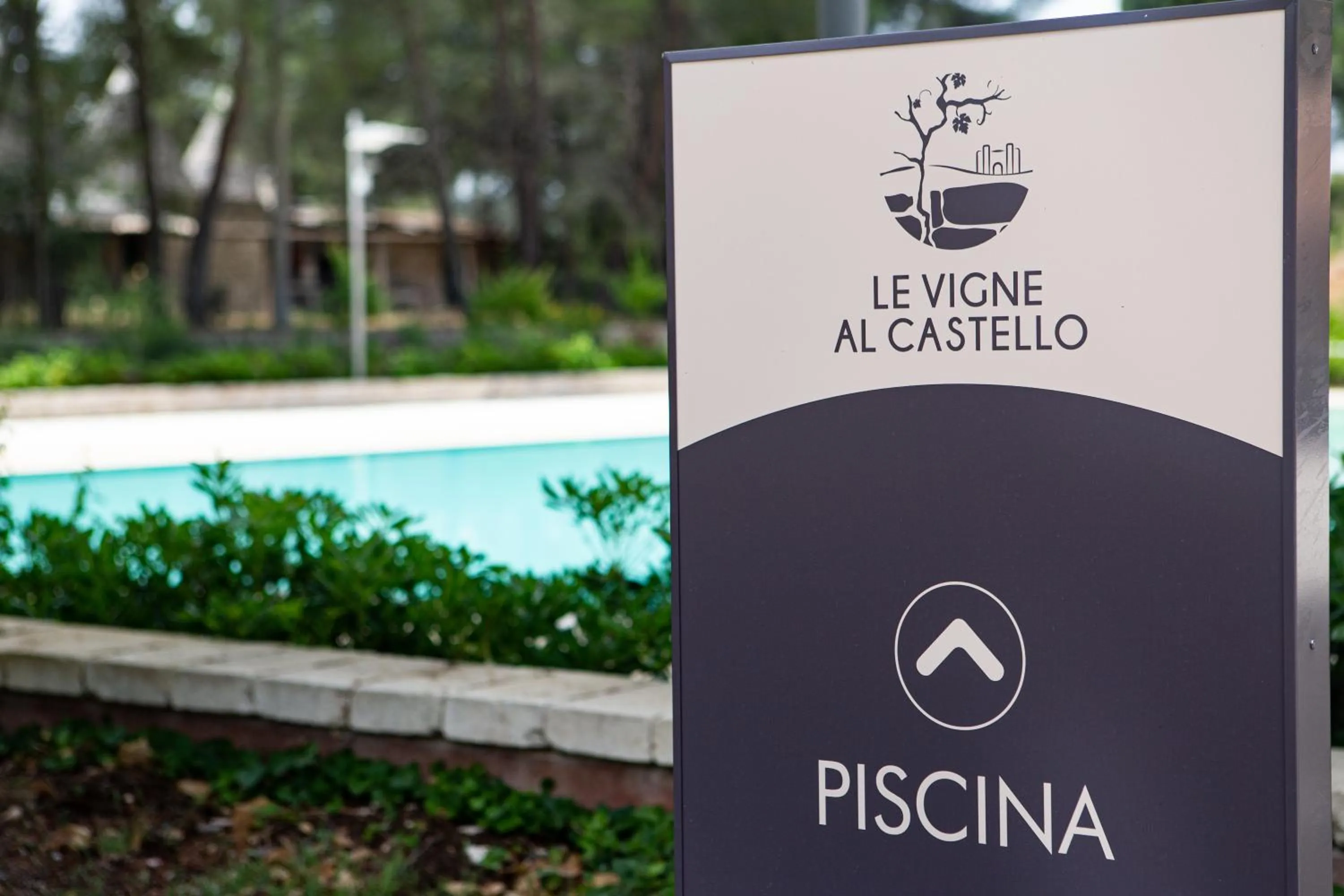 Swimming pool in WINE RESORT LE VIGNE AL CASTELLO