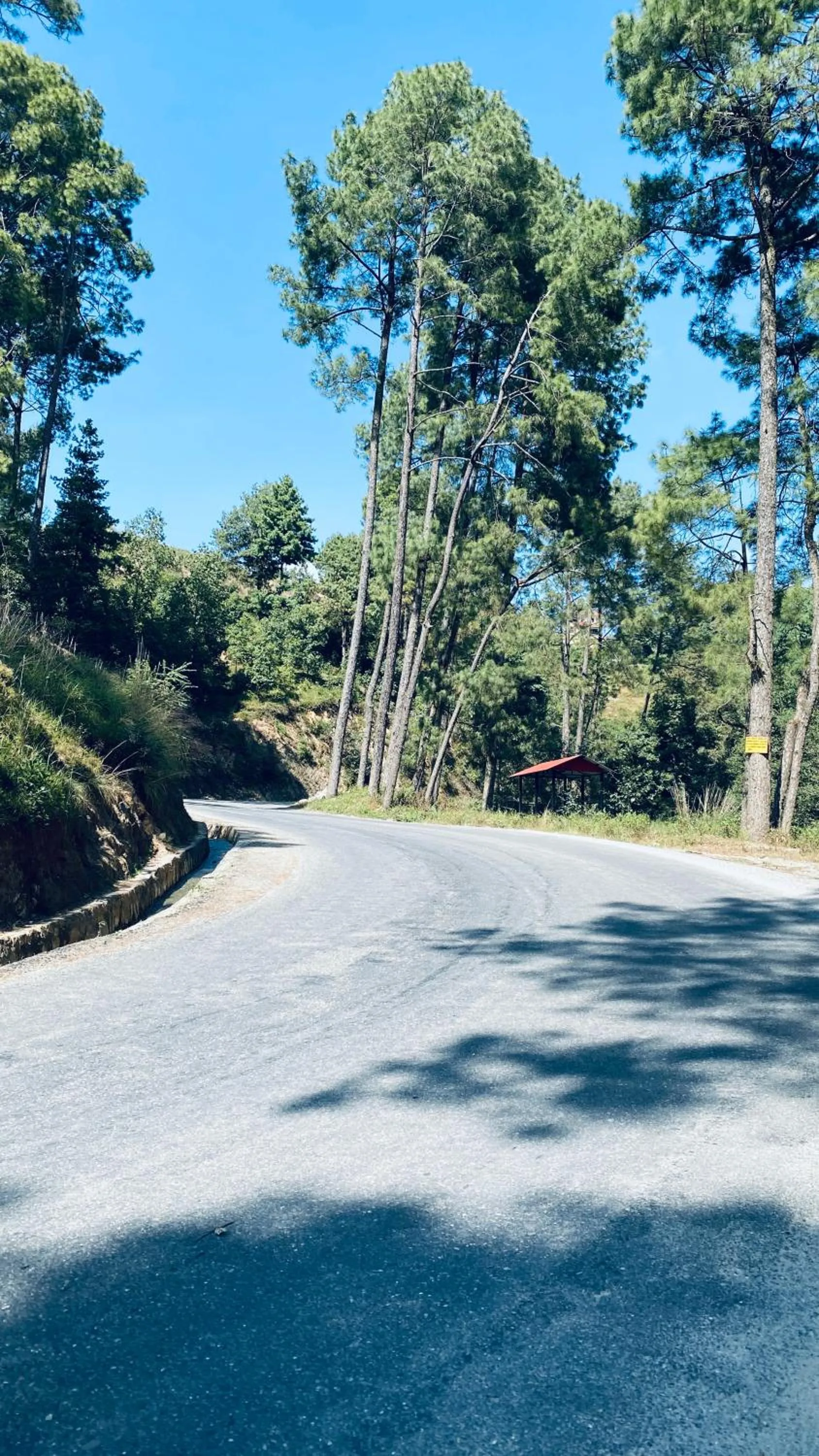 Natural landscape in Mountain Vista Retreat - Nagarkot