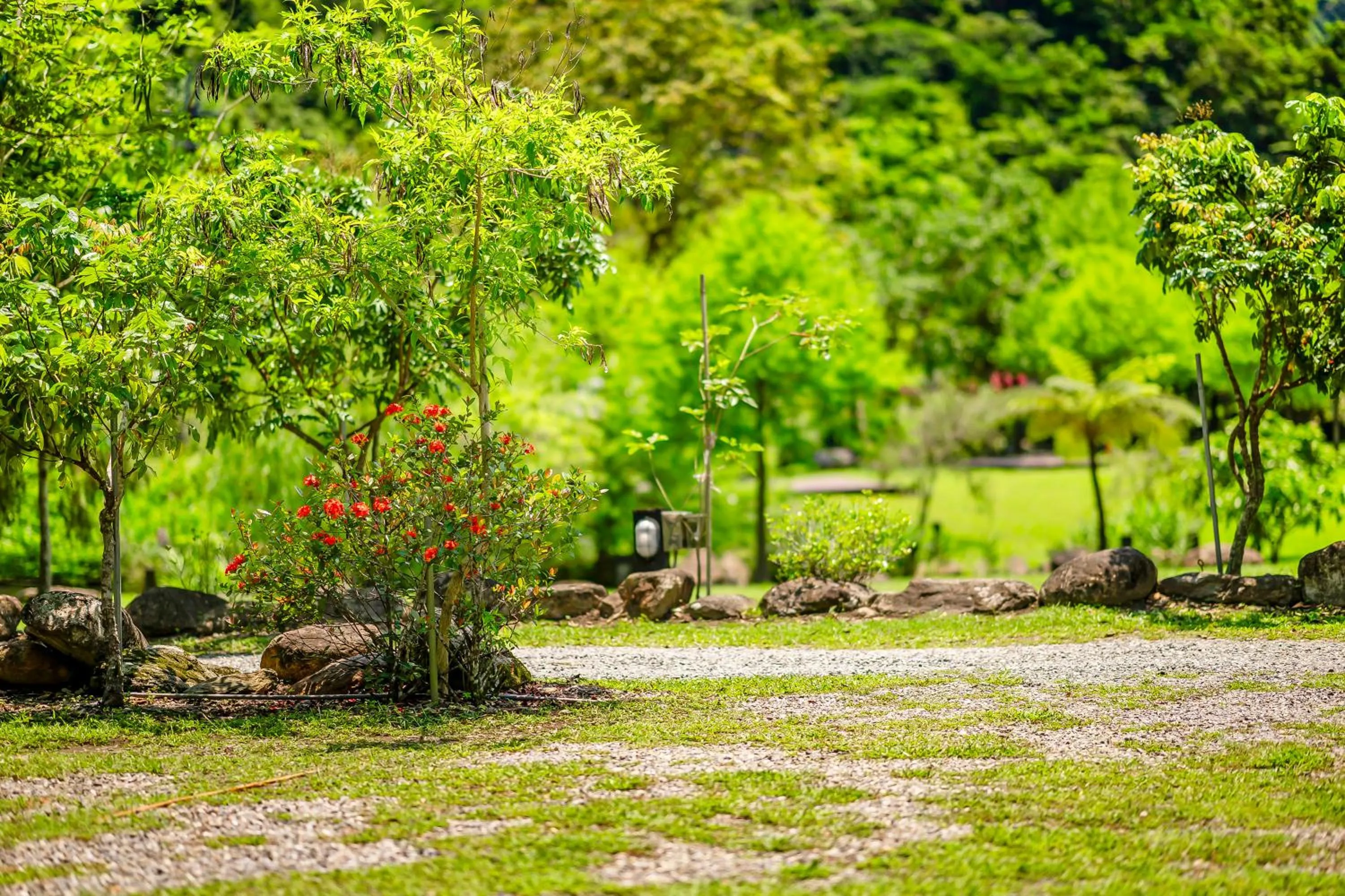 Natural landscape in Na Sun Na Gu