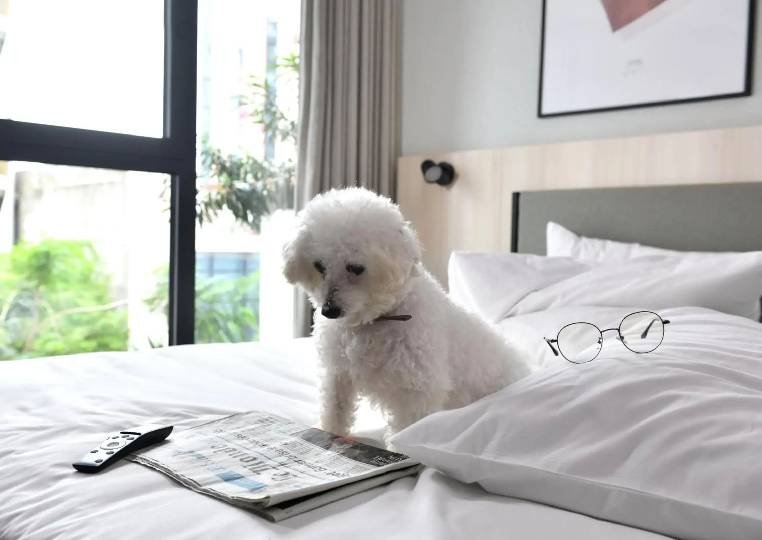 Animals, Bed in Aparthotel Adagio Abidjan Marcory Animals, Bed in Aparthotel Adagio Abidjan Marcory