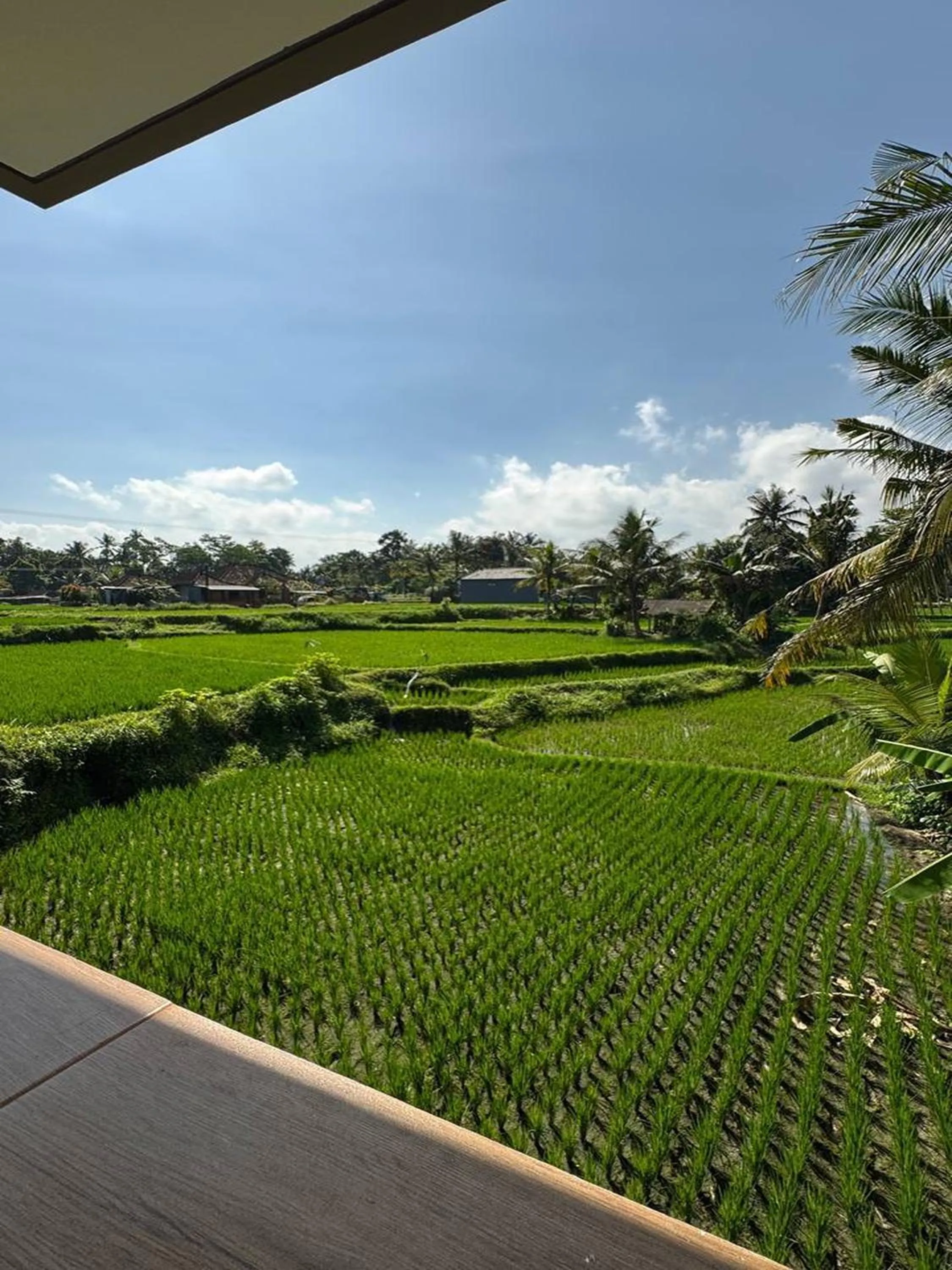 Garden in Casa De Arya Ubud