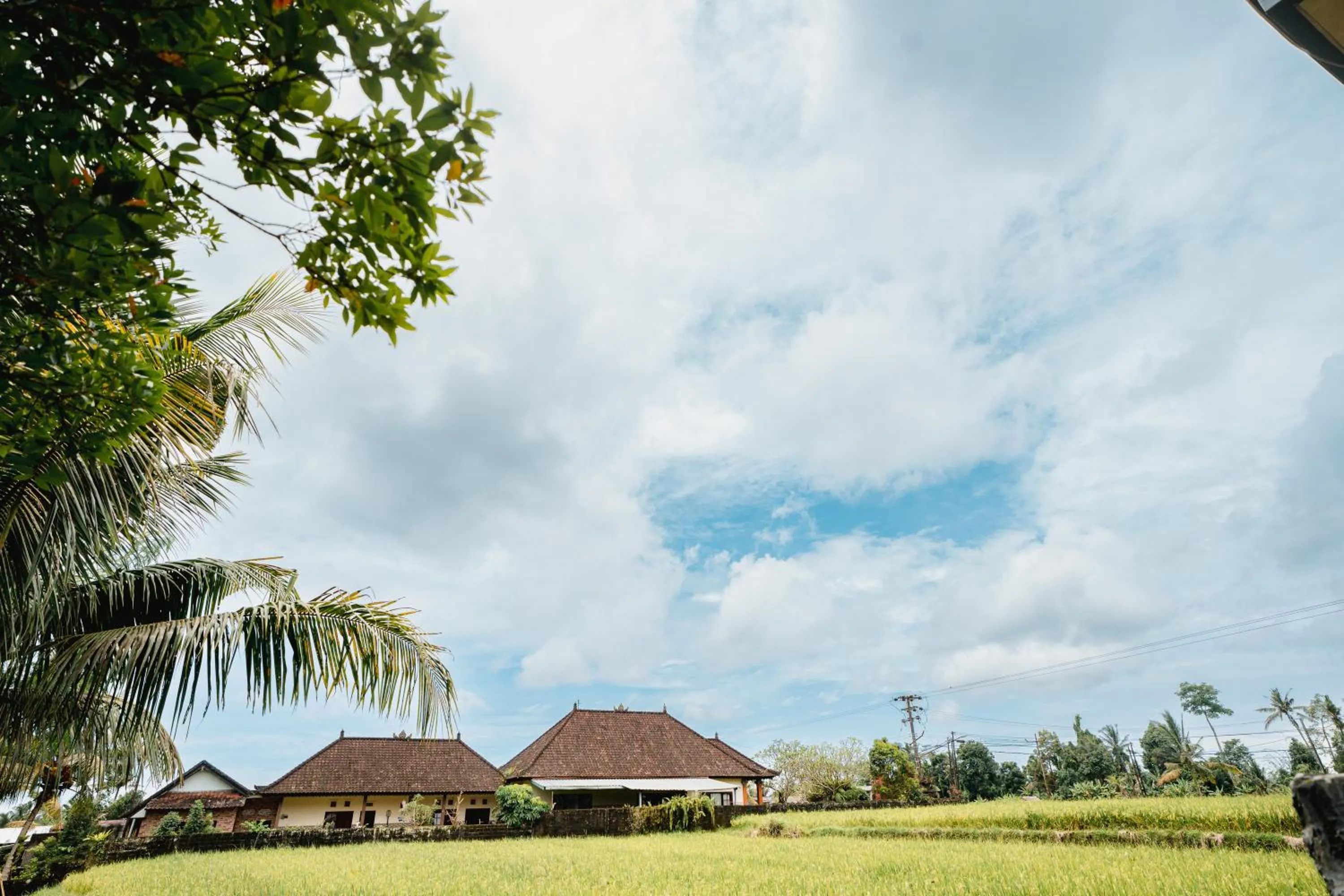 View (from property/room) in Casa De Arya Ubud