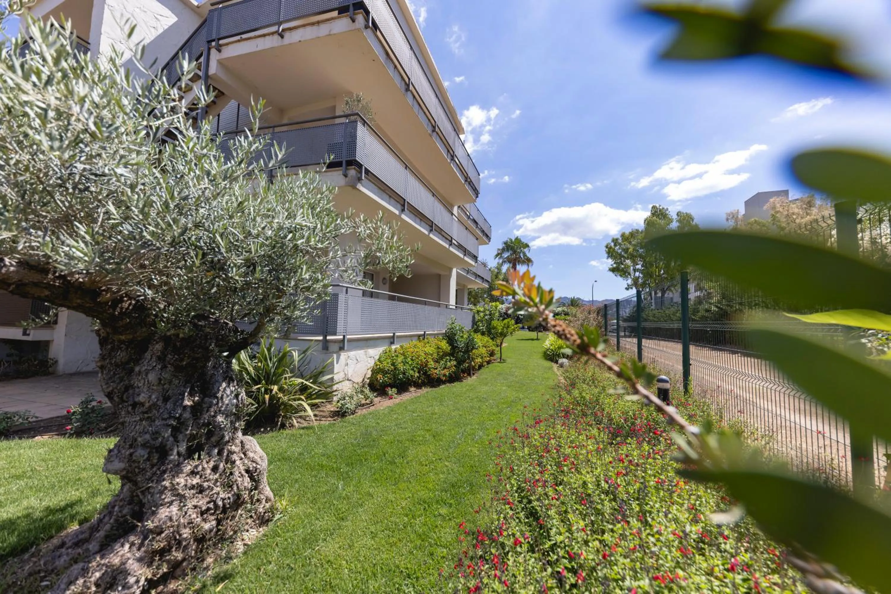 Garden in Apartaments Terraza - Santa Maria