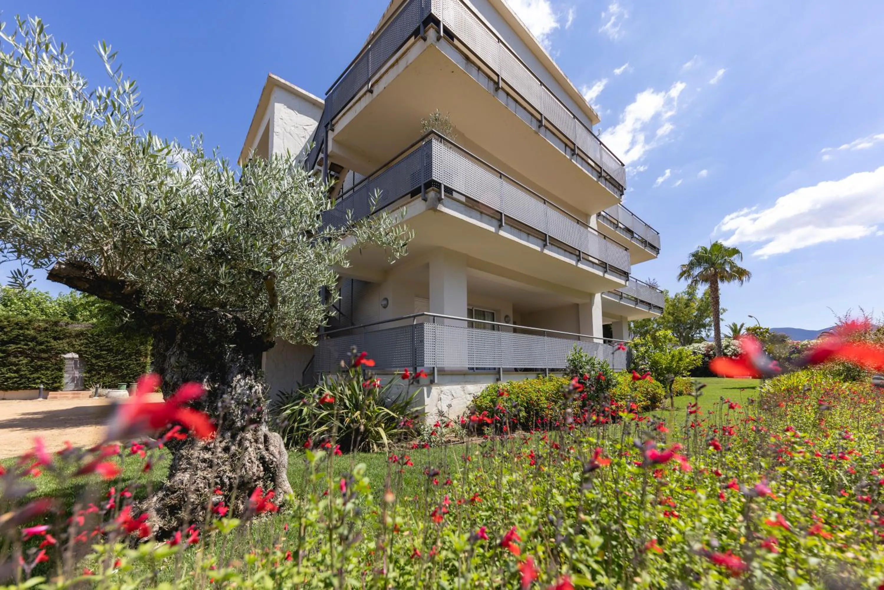 Garden in Apartaments Terraza - Santa Maria