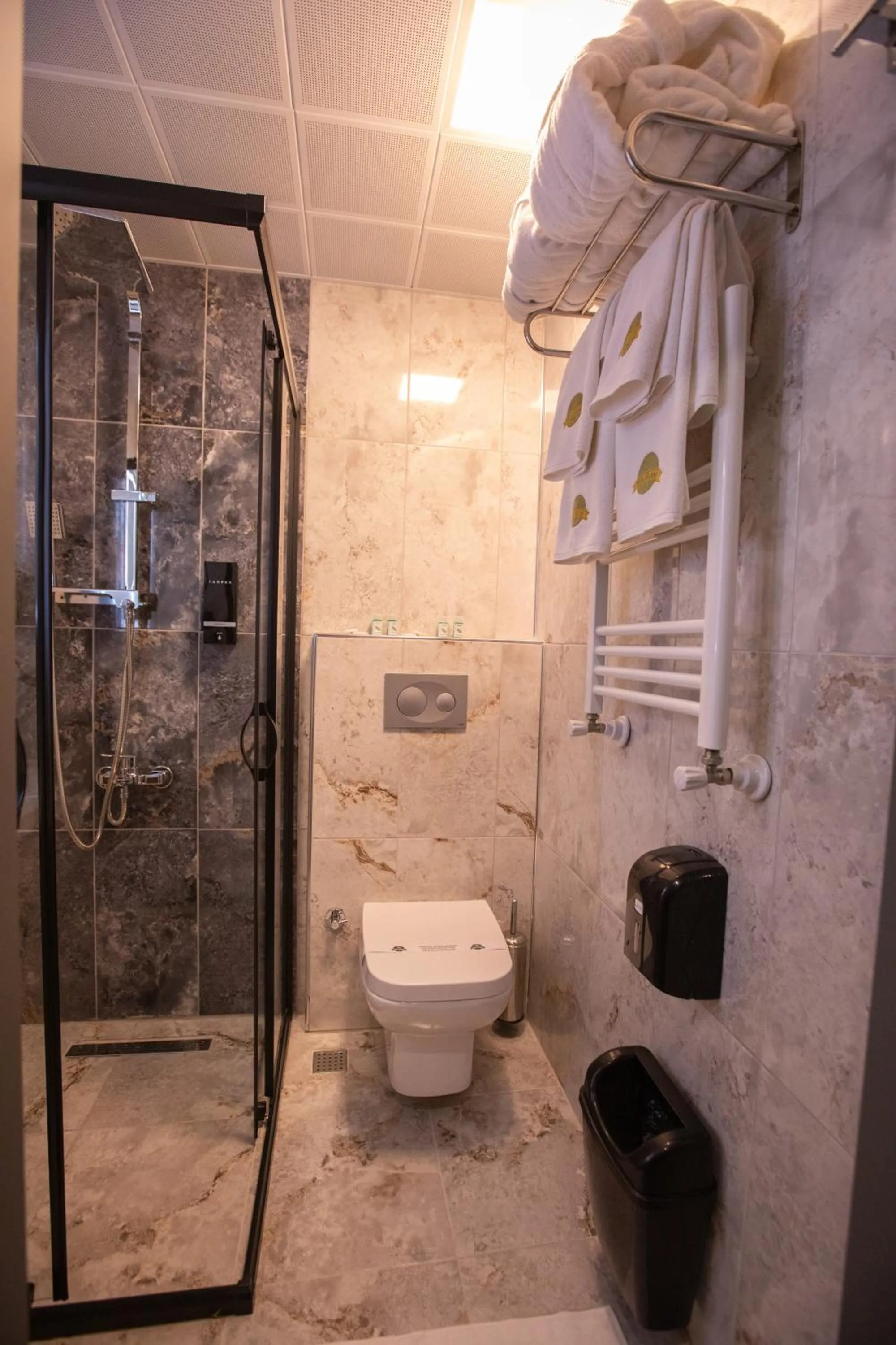 Shower in Hotel Milano