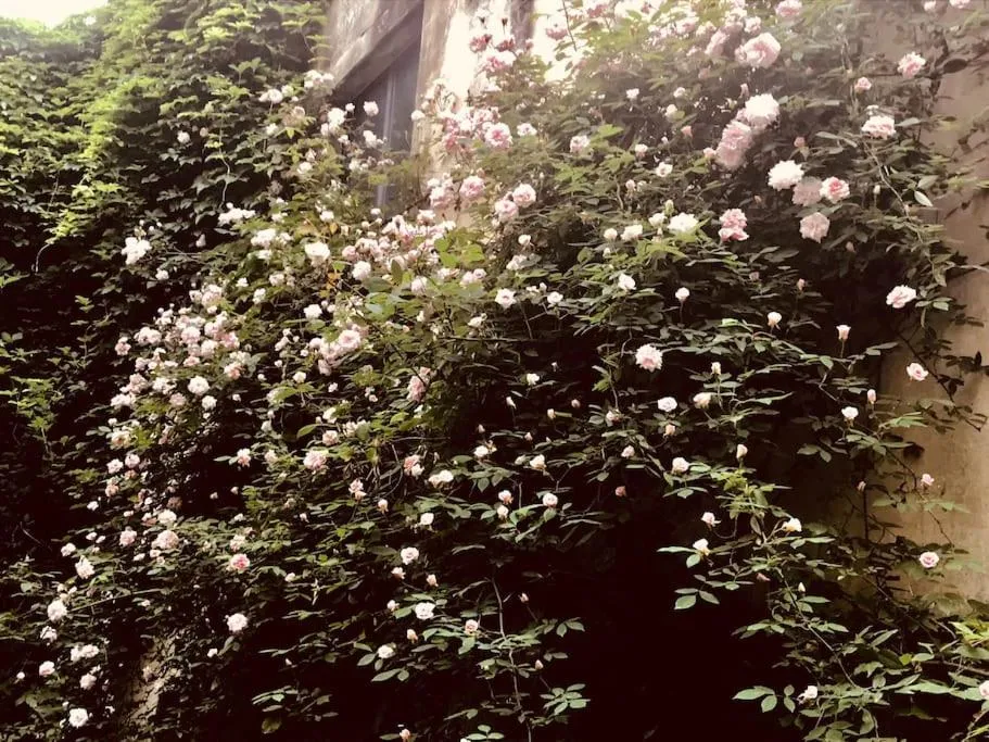 Casa di Annusca Apartment