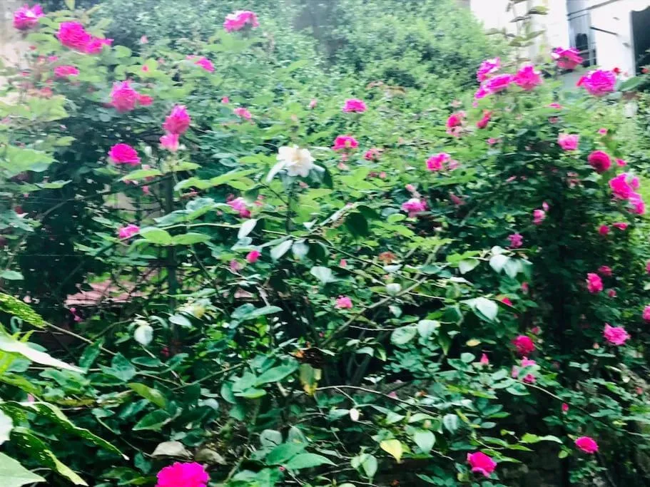 Casa di Annusca Apartment