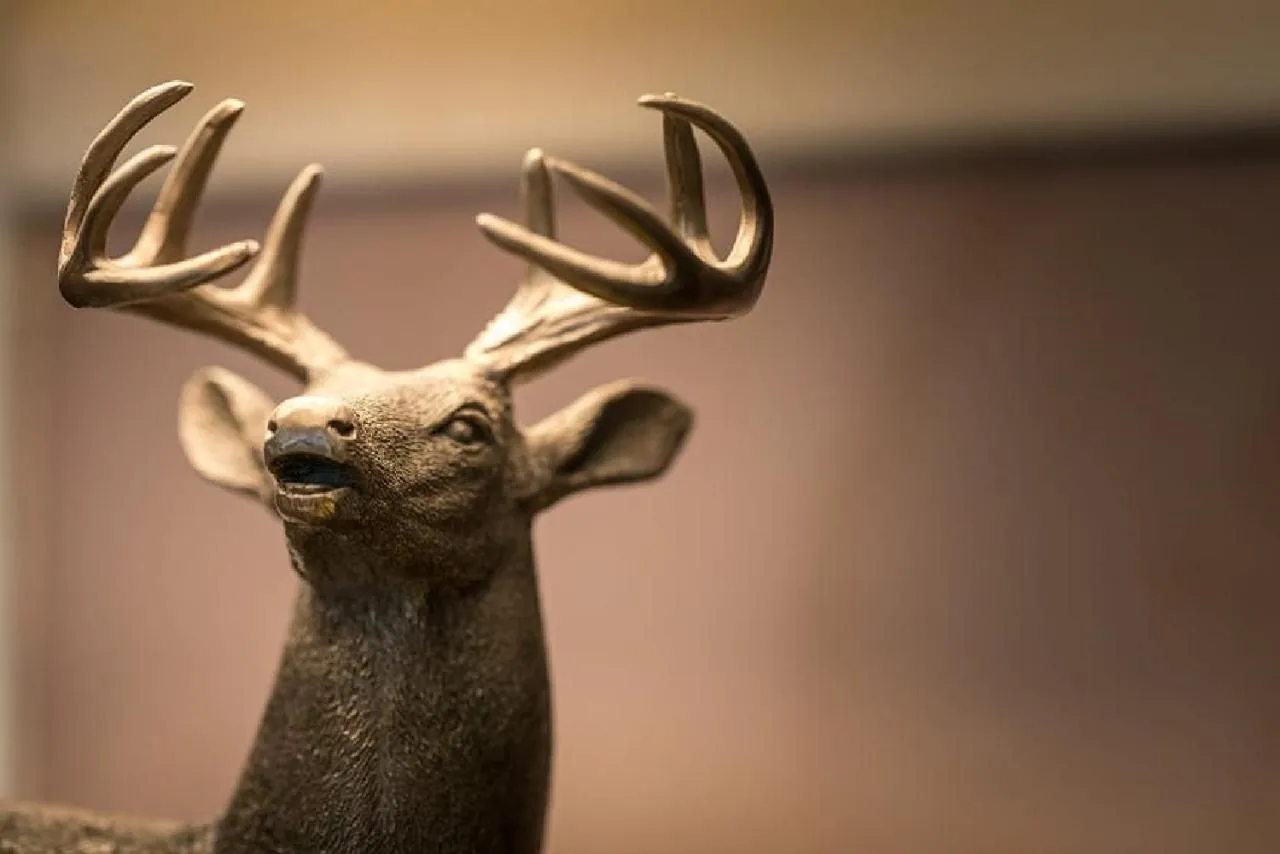 Decorative detail in Castletown Hotel
