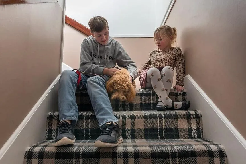 Pets in Castletown Hotel