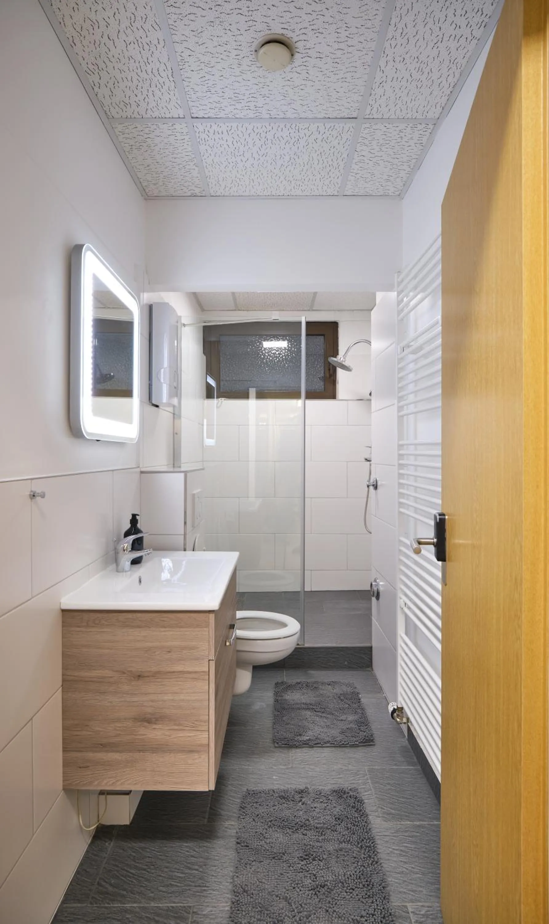 Toilet in sleep1c
