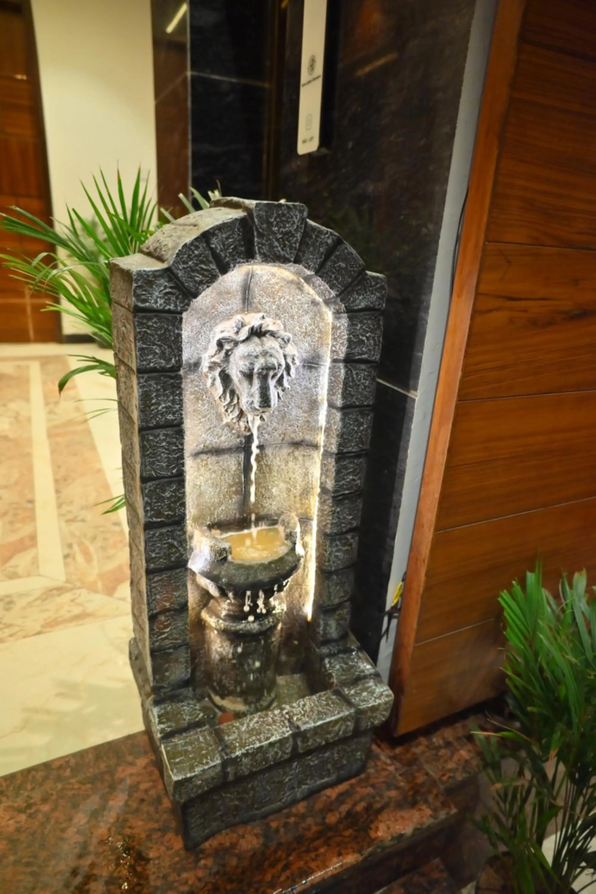 elevator in Hotel Lake View - Near Sukhna Lake