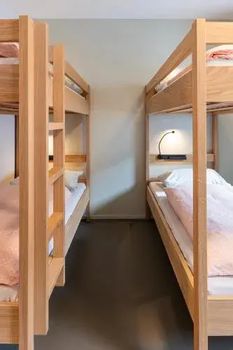 6-Bed Mixed Dormitory Room in Martigny Youth Hostel 6-Bed Mixed Dormitory Room in Martigny Youth Hostel