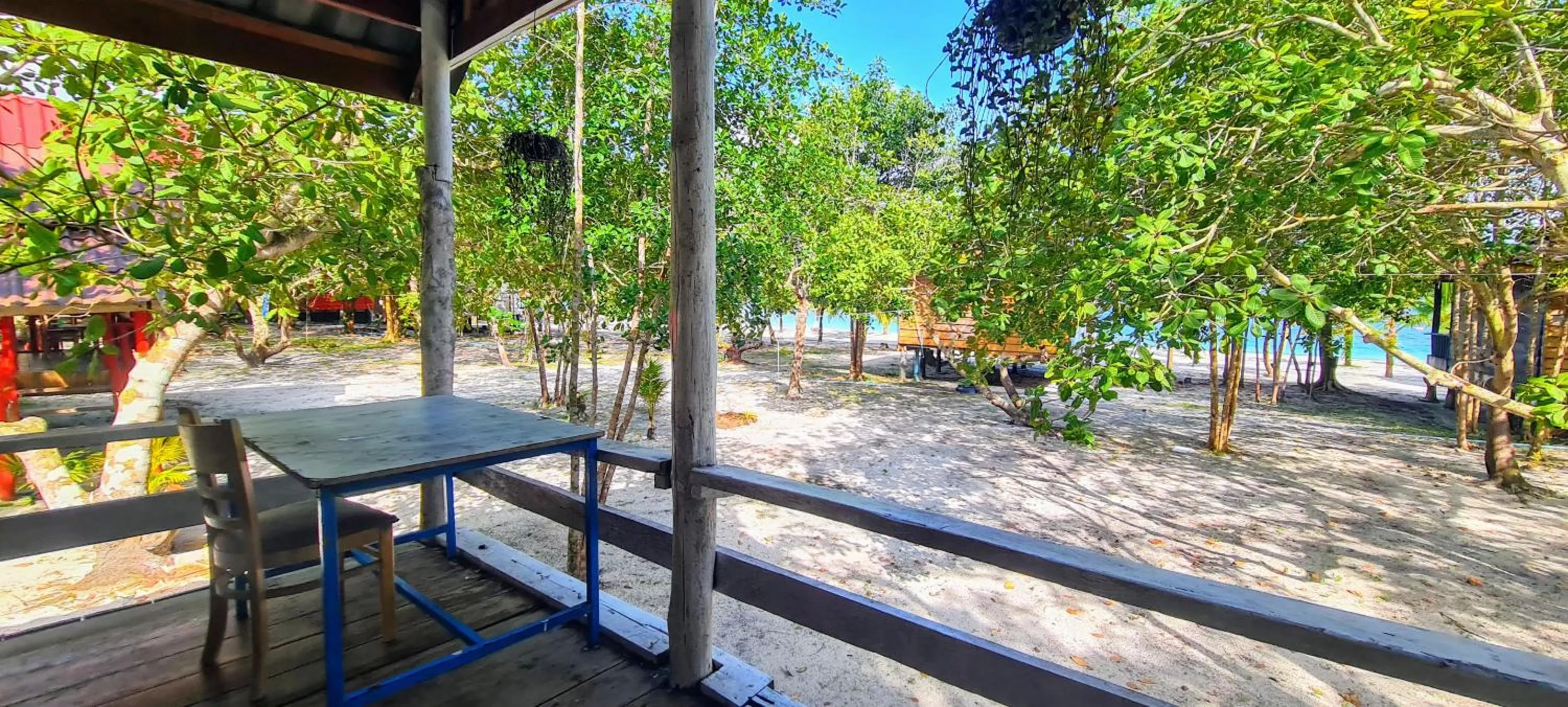 Garden view in Koh Rong Beach Hostel and Bungalows