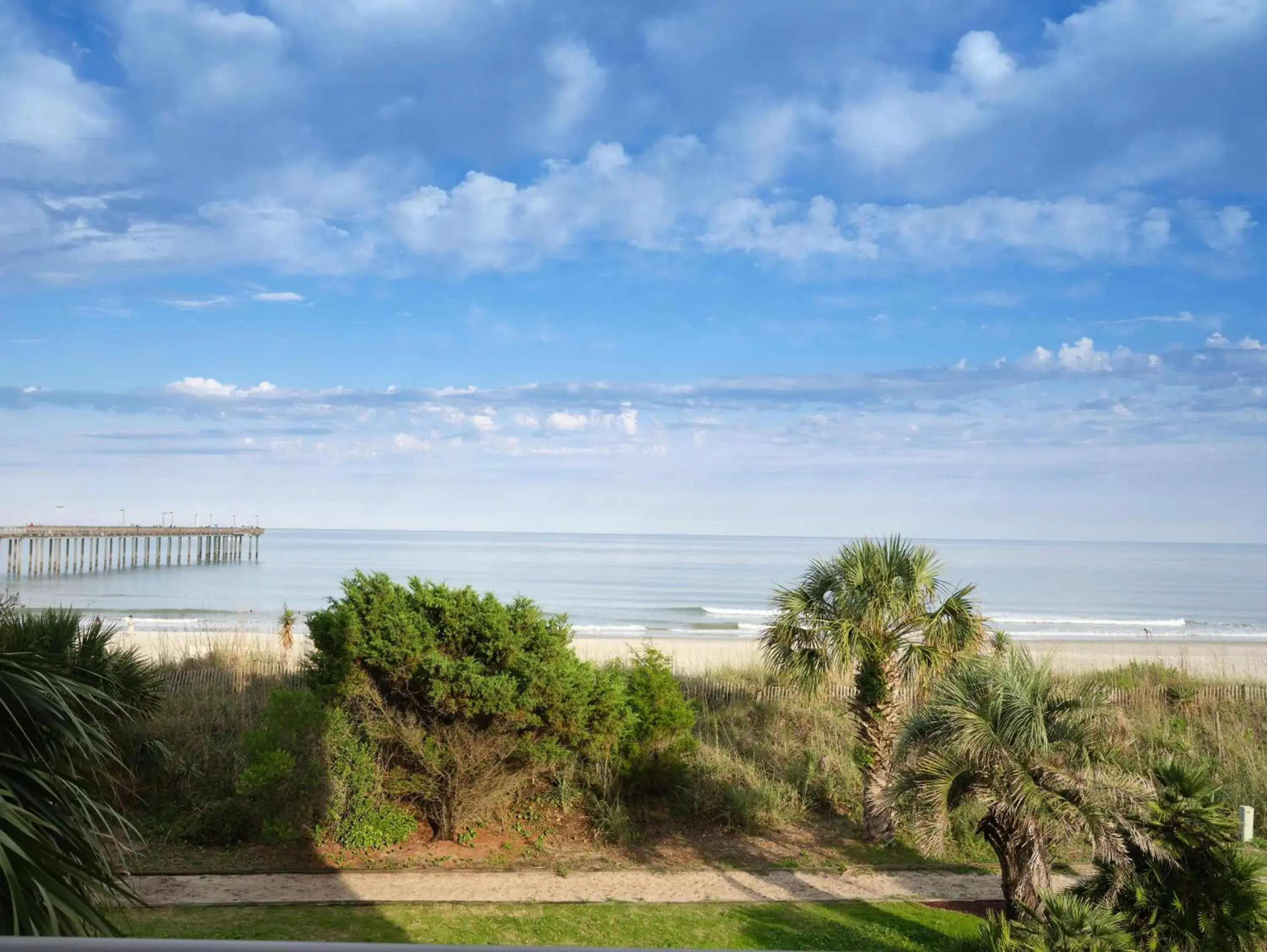 Property building in The Ellie Beach Resort Myrtle Beach, Tapestry By Hilton Property building in The Ellie Beach Resort Myrtle Beach, Tapestry By Hilton