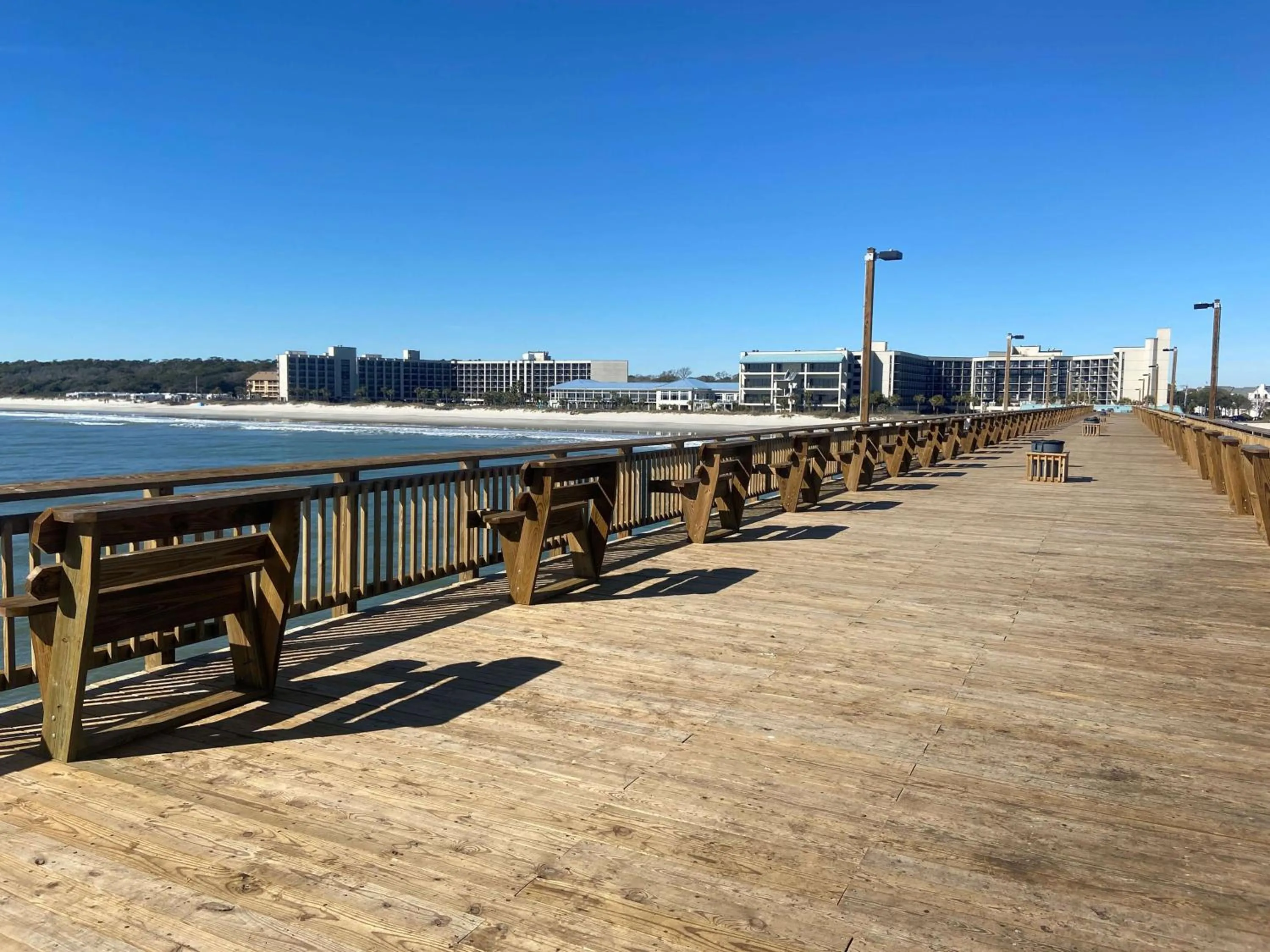 Beach in The Ellie Beach Resort Myrtle Beach, Tapestry By Hilton