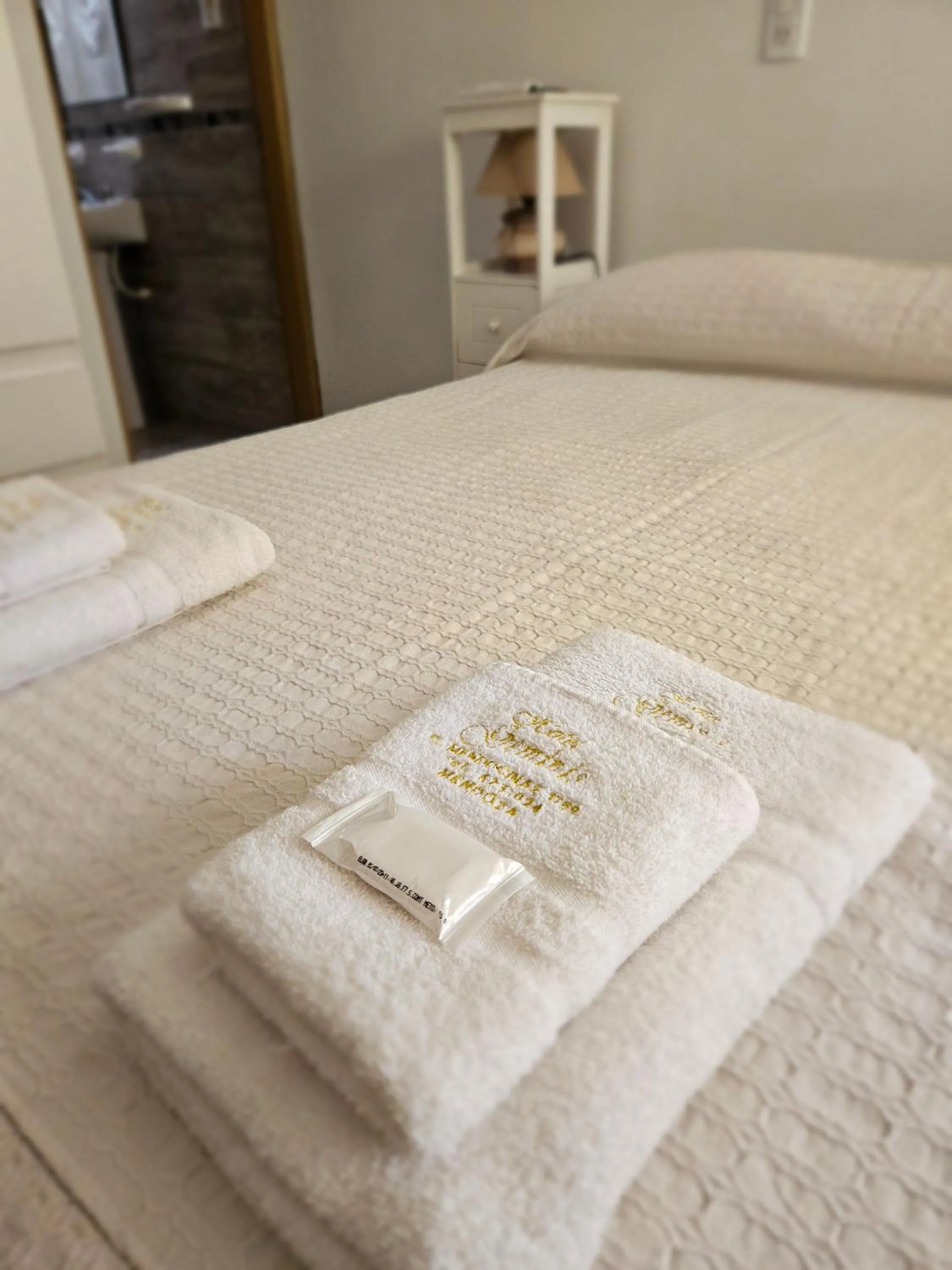 Hotel Geminis