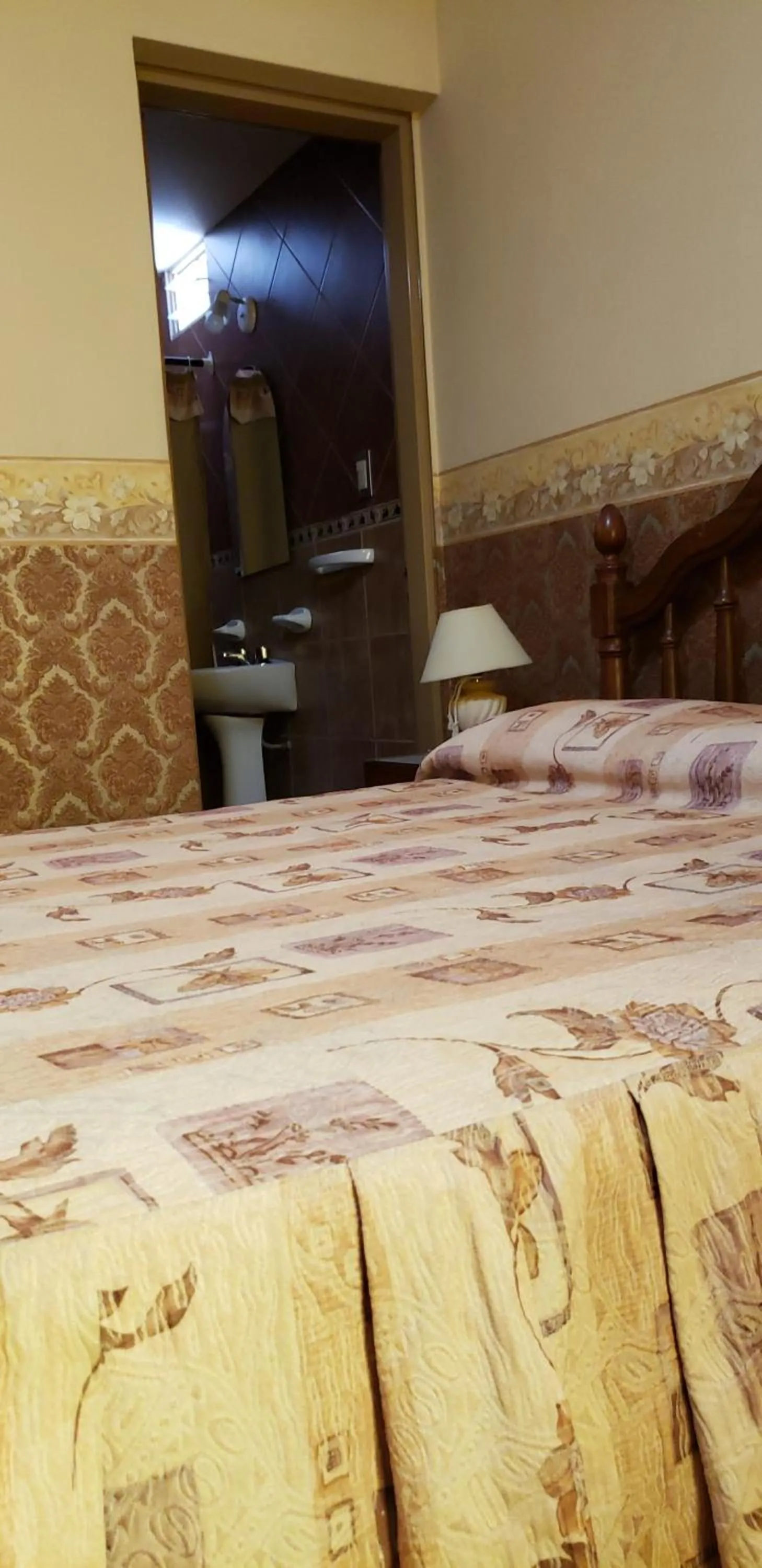 Hotel Geminis