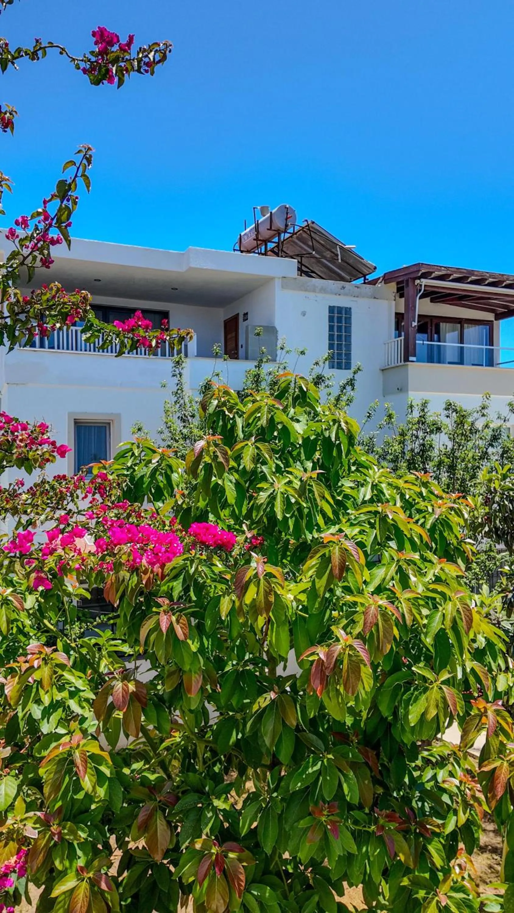 Garden in Lizbonia Hotels Bodrum