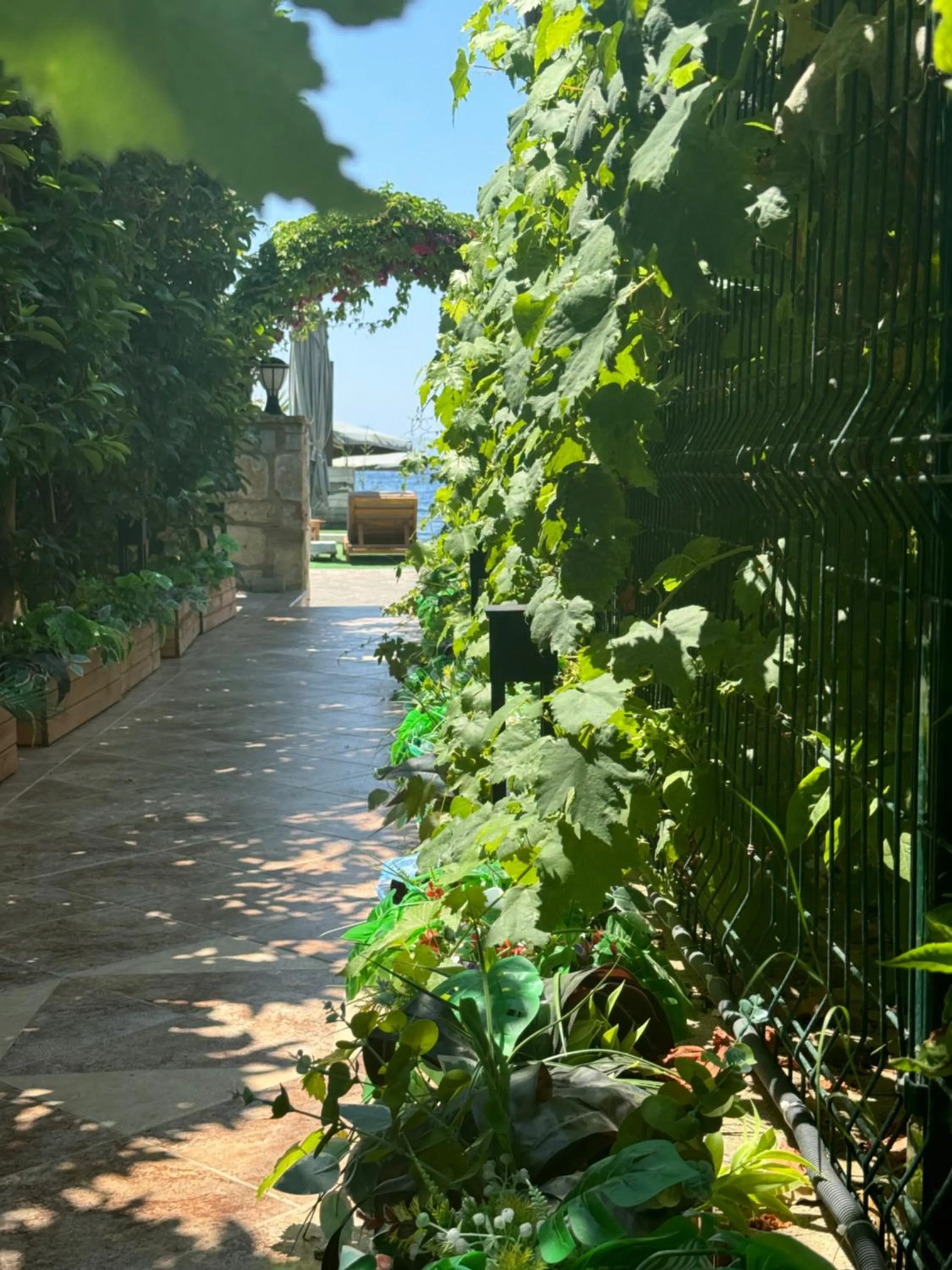 Spring in Lizbonia Hotels Bodrum