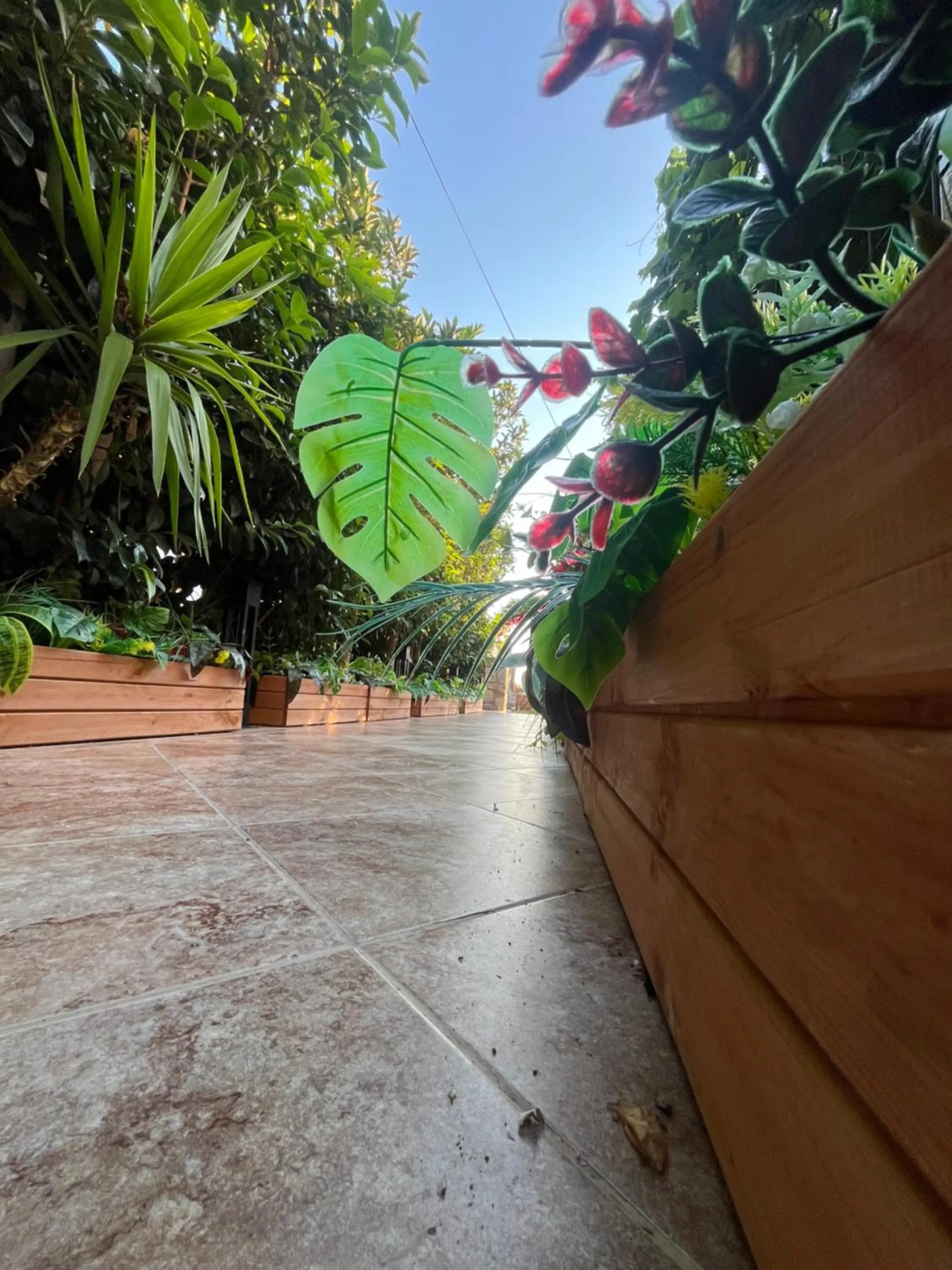 Spring in Lizbonia Hotels Bodrum