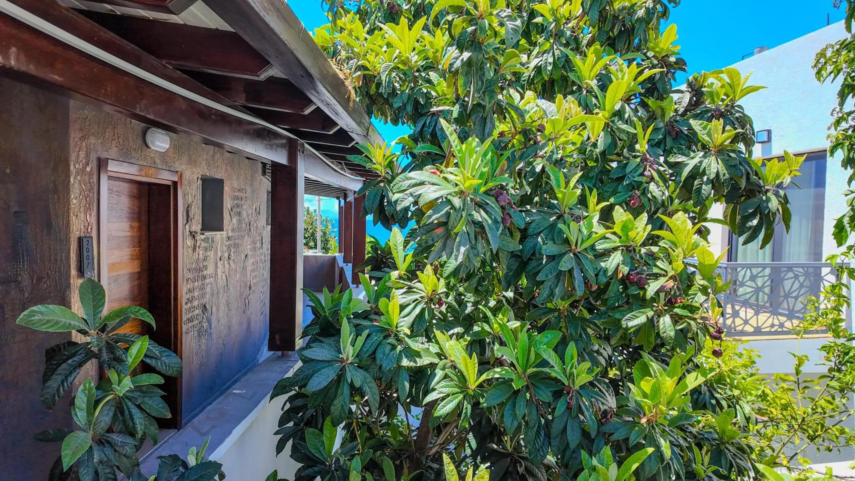 Garden in Lizbonia Hotels Bodrum