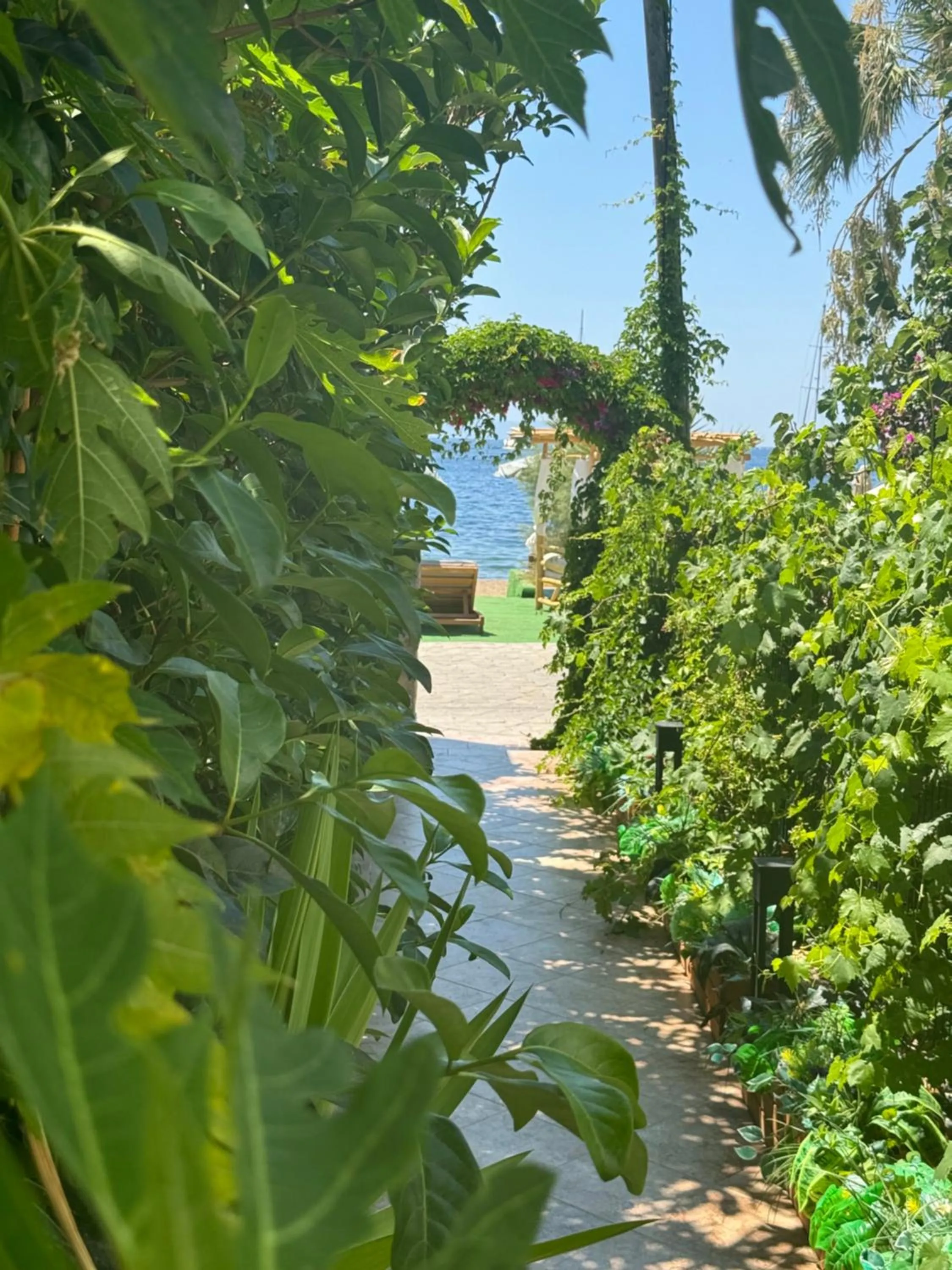 Natural landscape in Lizbonia Hotels Bodrum