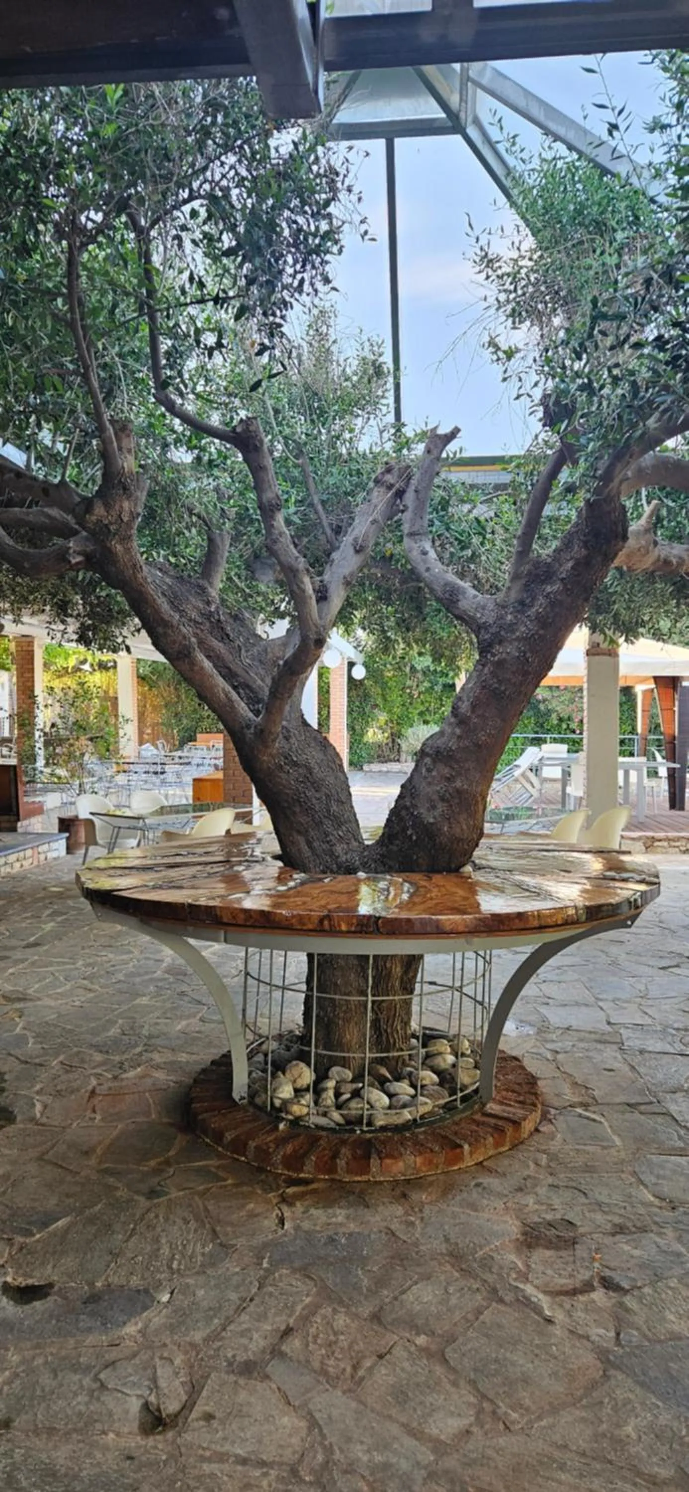 Garden in Olympic Village Hotel & SPA