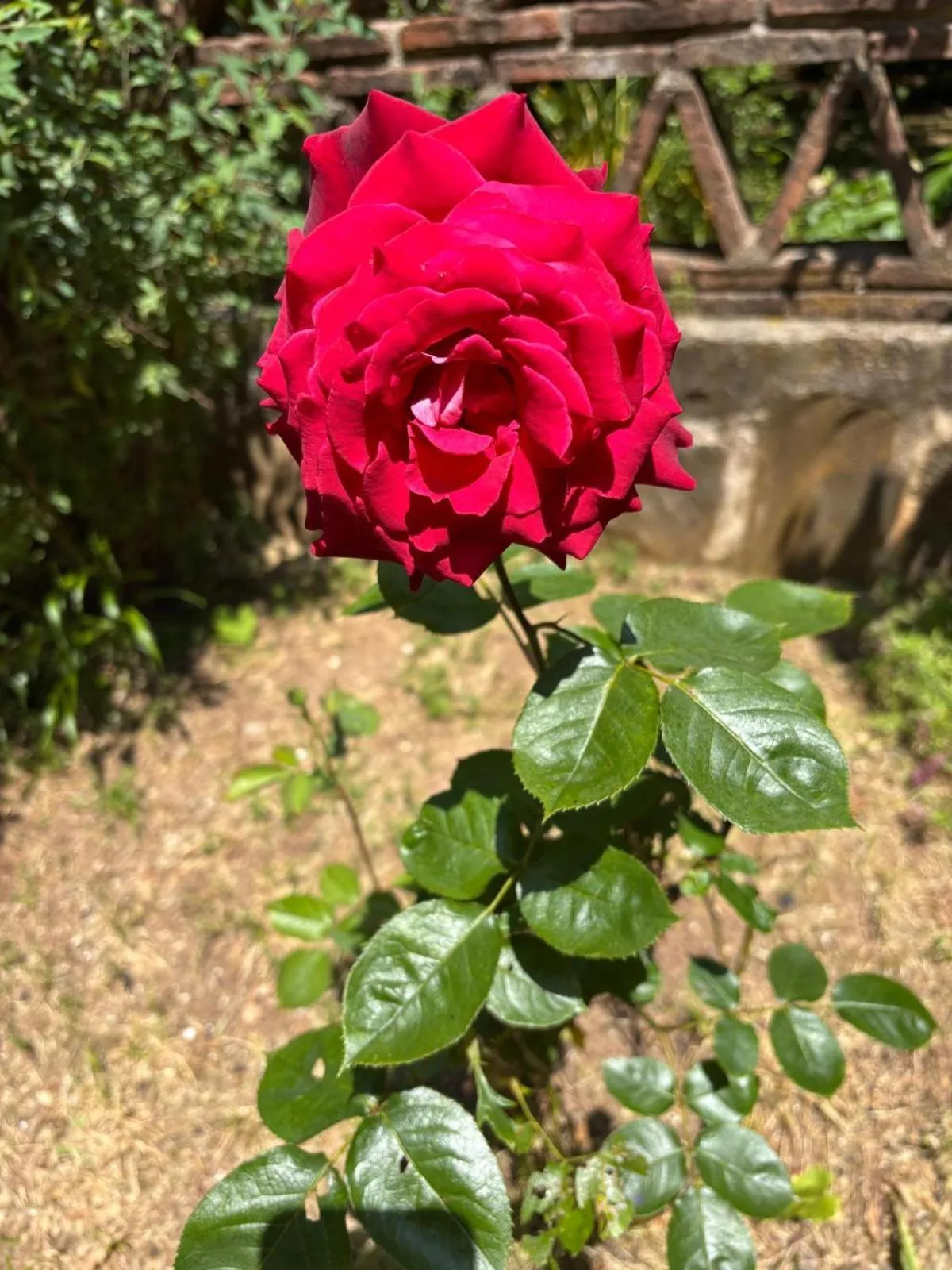 Hotel El Refugio de Juanar