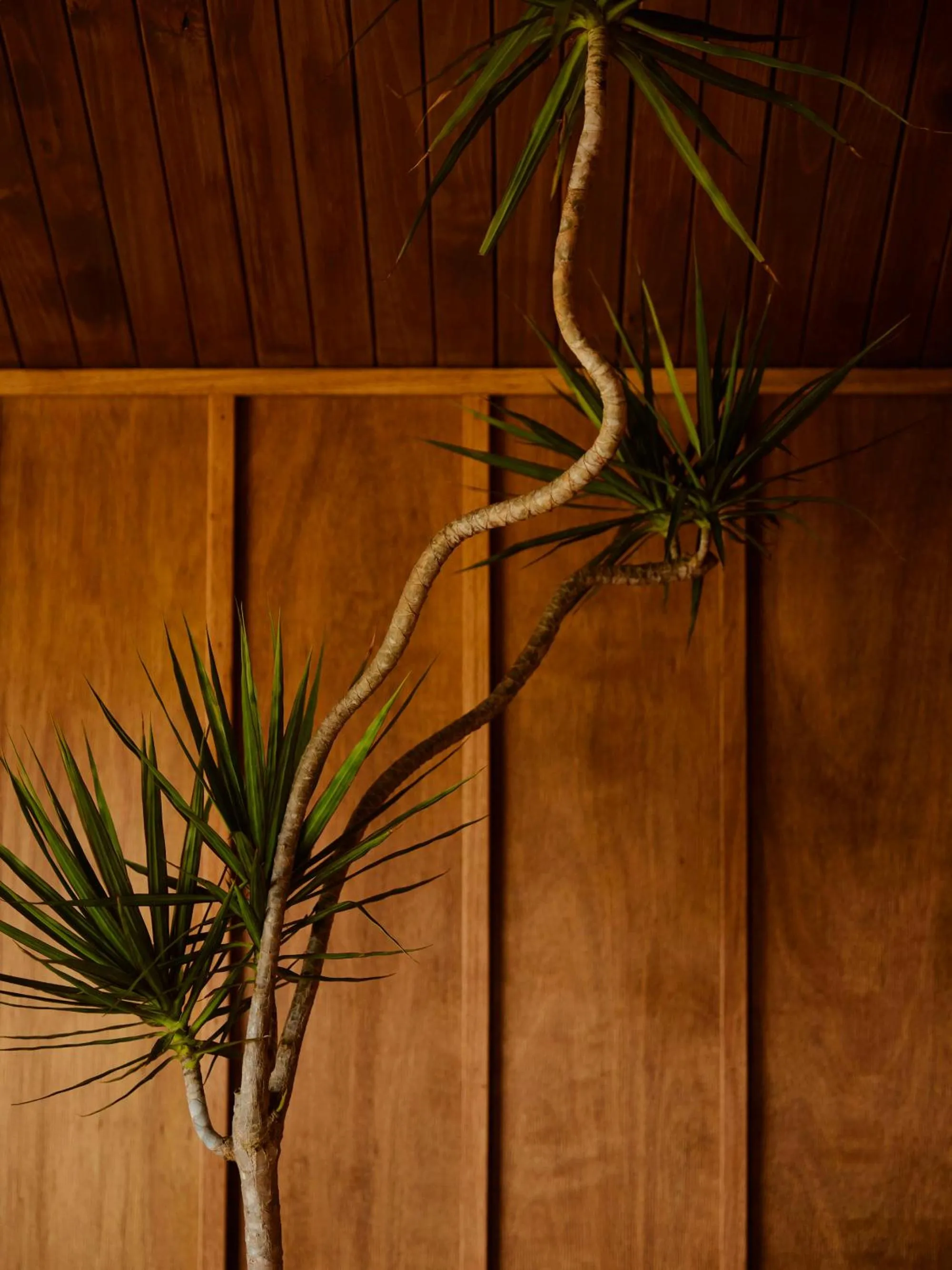 Decorative detail in Sun Ranch