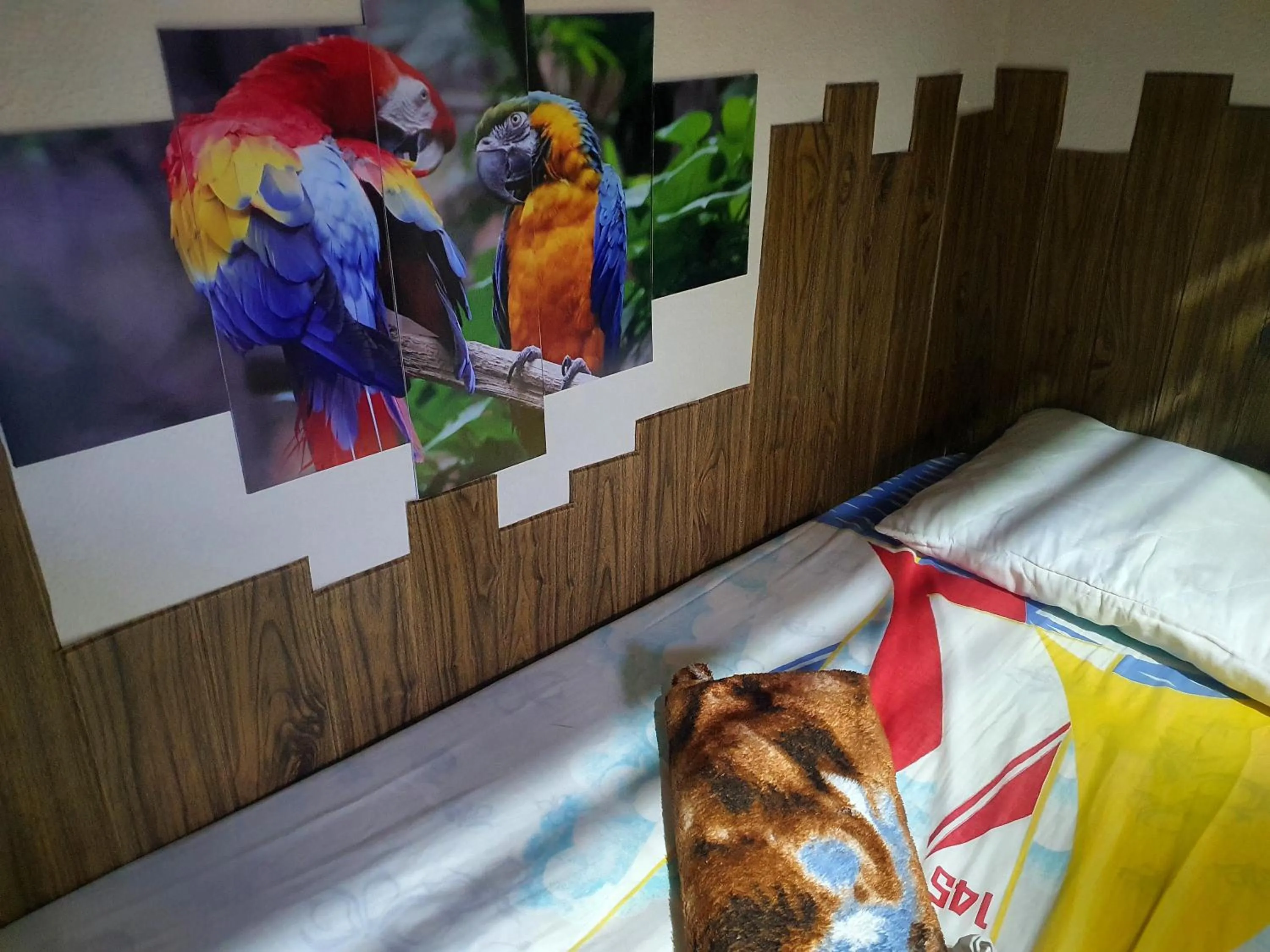 Bed in Itaipuaçu hoStel da Patty próximo a praia e terminal da rua 01