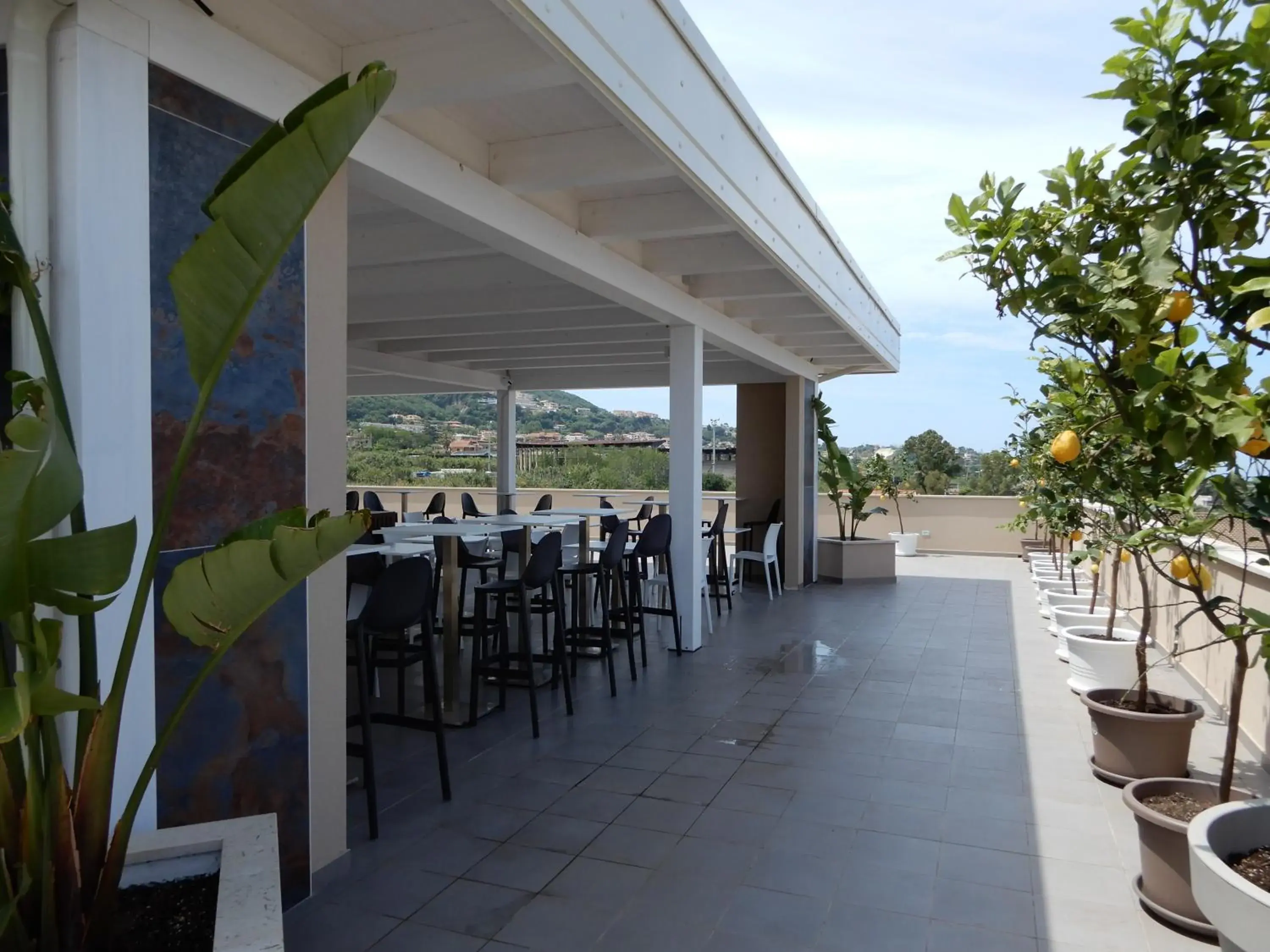 Restaurant/places to eat in Middle Town Palace Restaurant/places to eat in Middle Town Palace