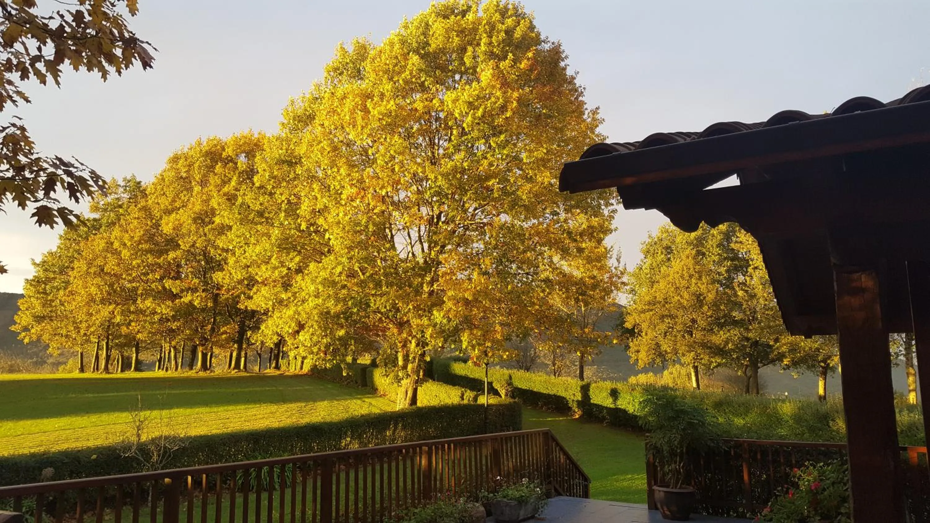 Off site in Usategieta