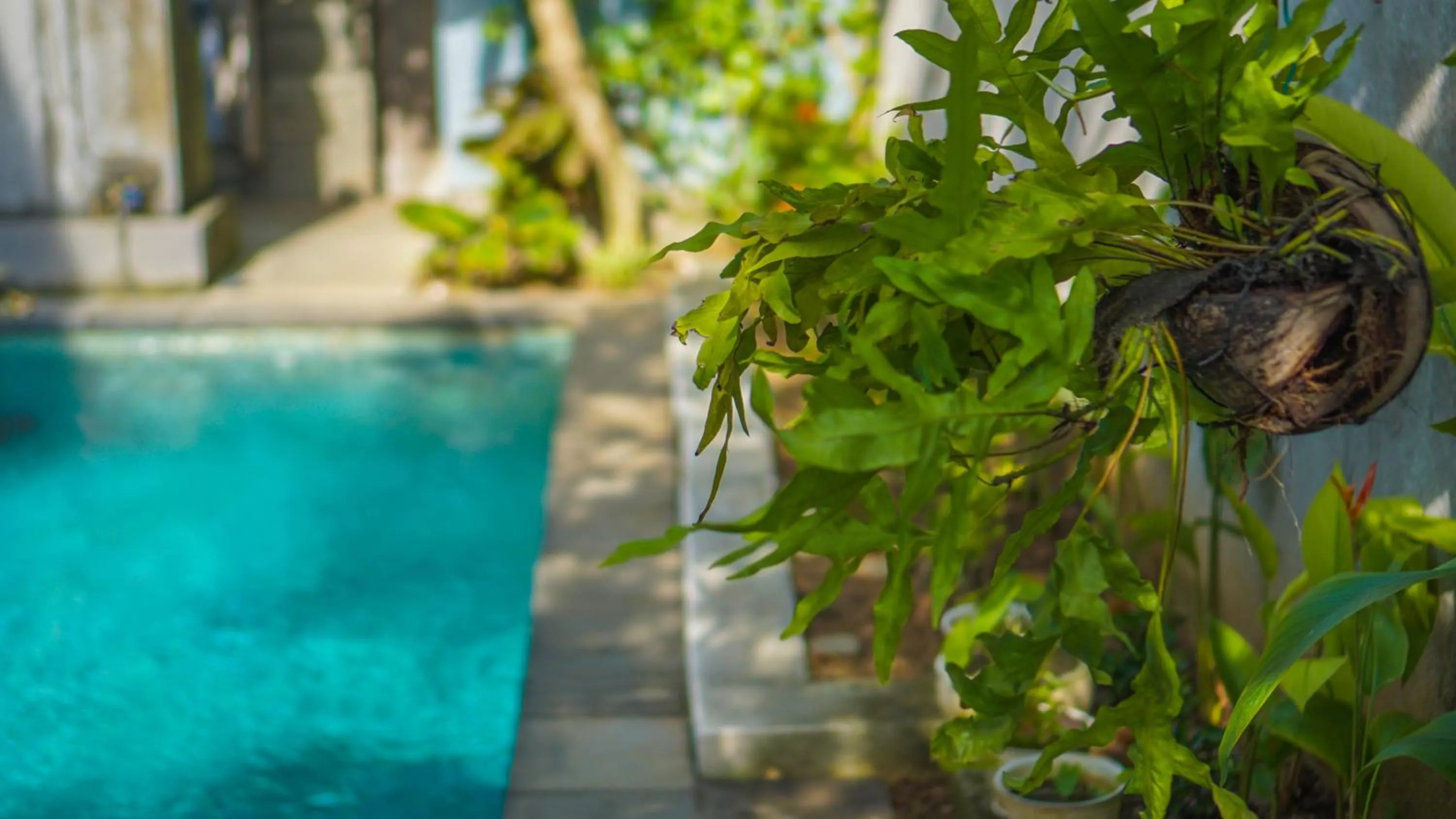 Day in Dirga's House Sanur View by EPS