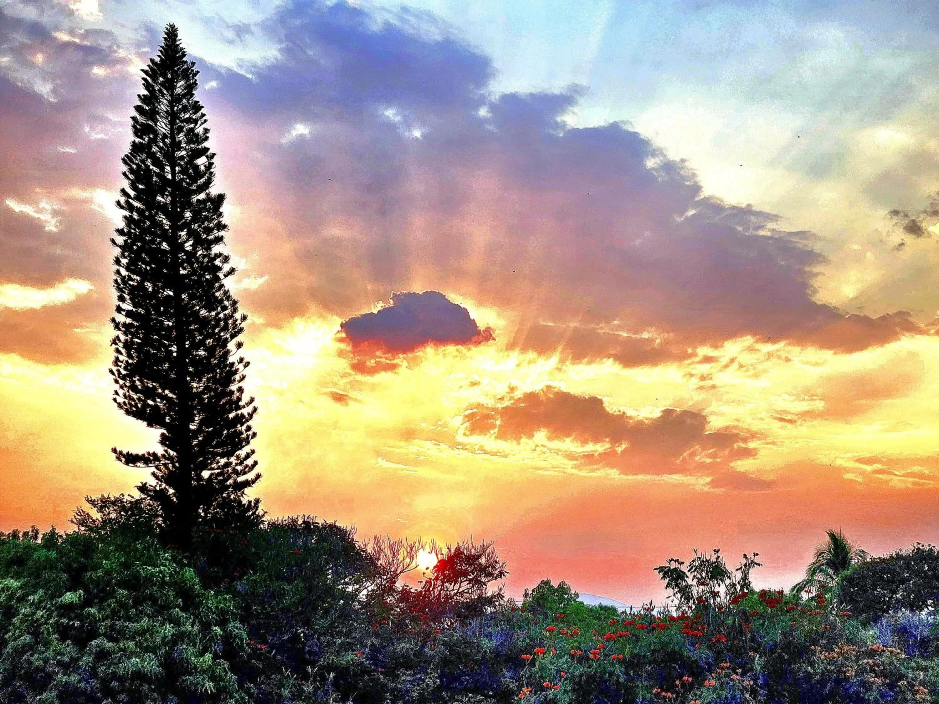 View (from property/room) in Hotel Hacienda del Rio Oaxtepec