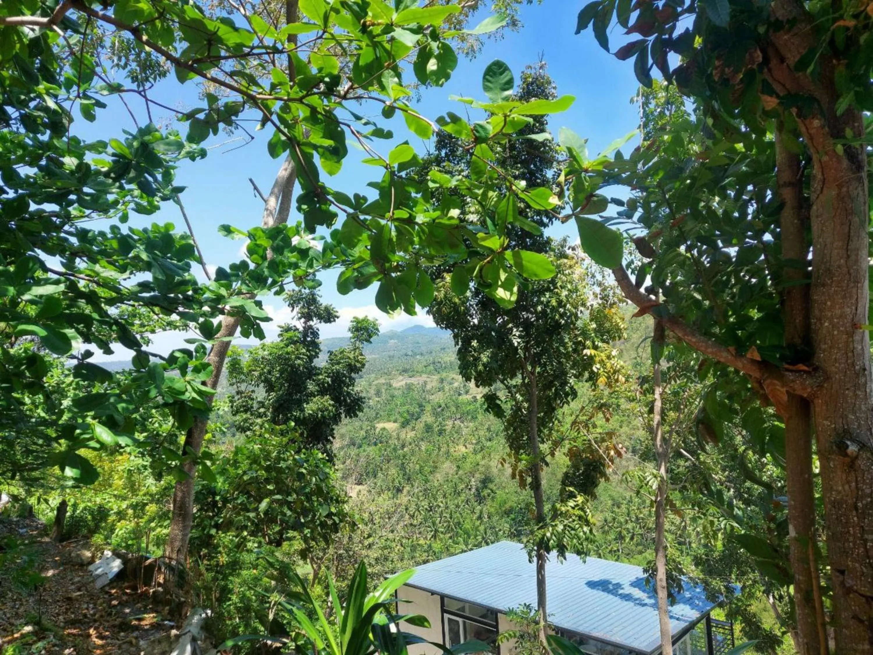 Natural landscape in Simala Retreat Resort Cebu