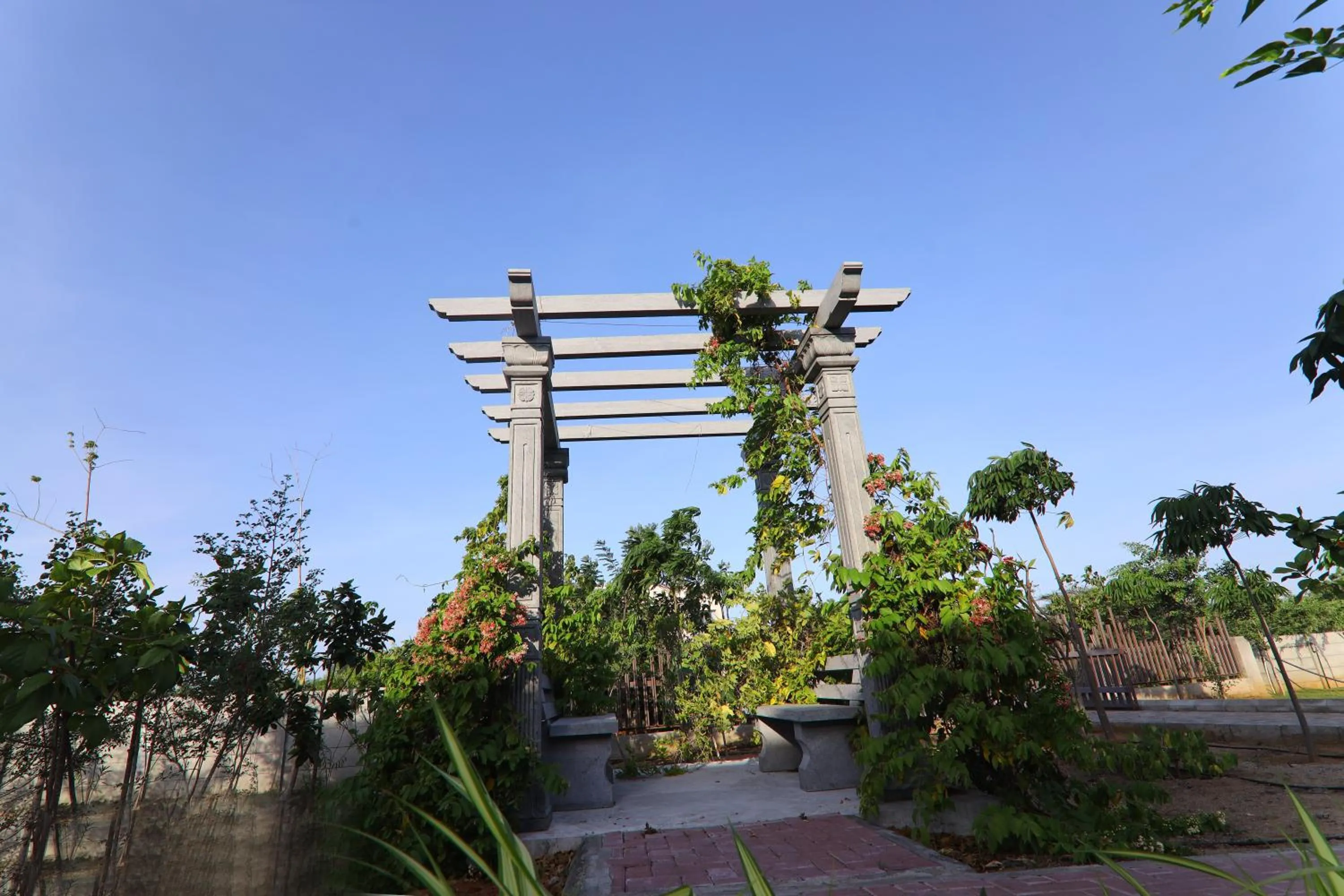 Spring in LA PALMERA