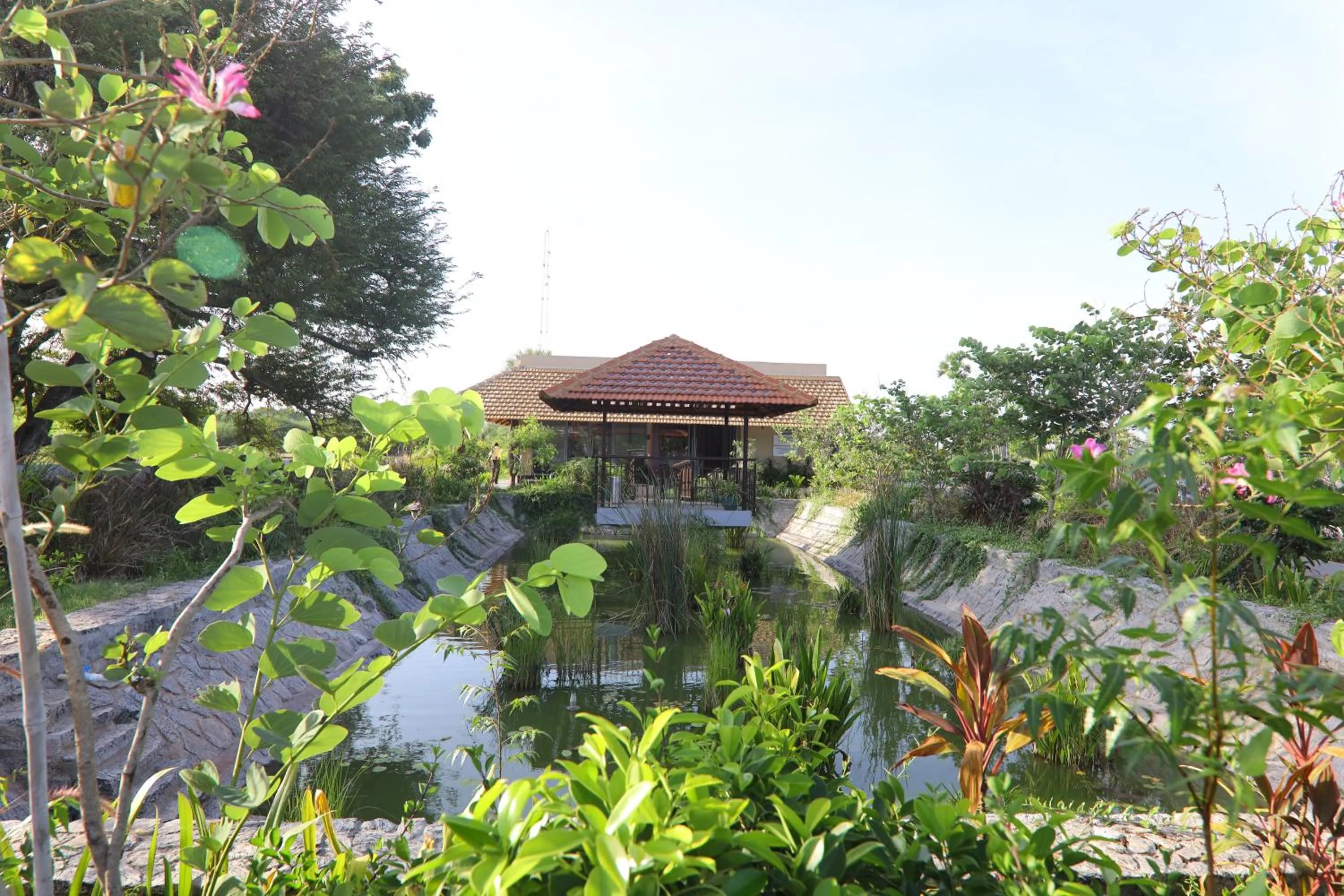 Garden view in LA PALMERA