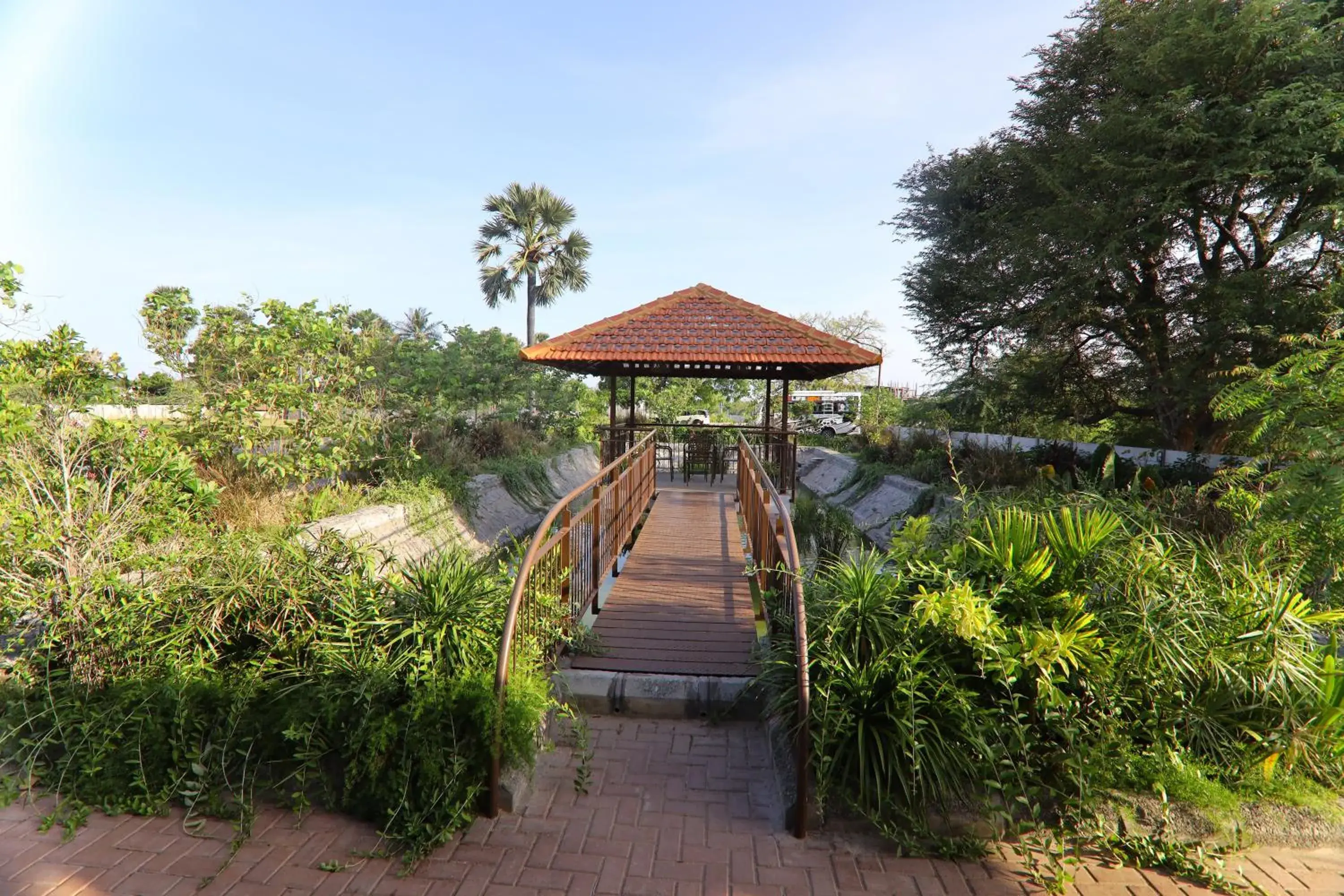 Garden view in LA PALMERA Garden view in LA PALMERA