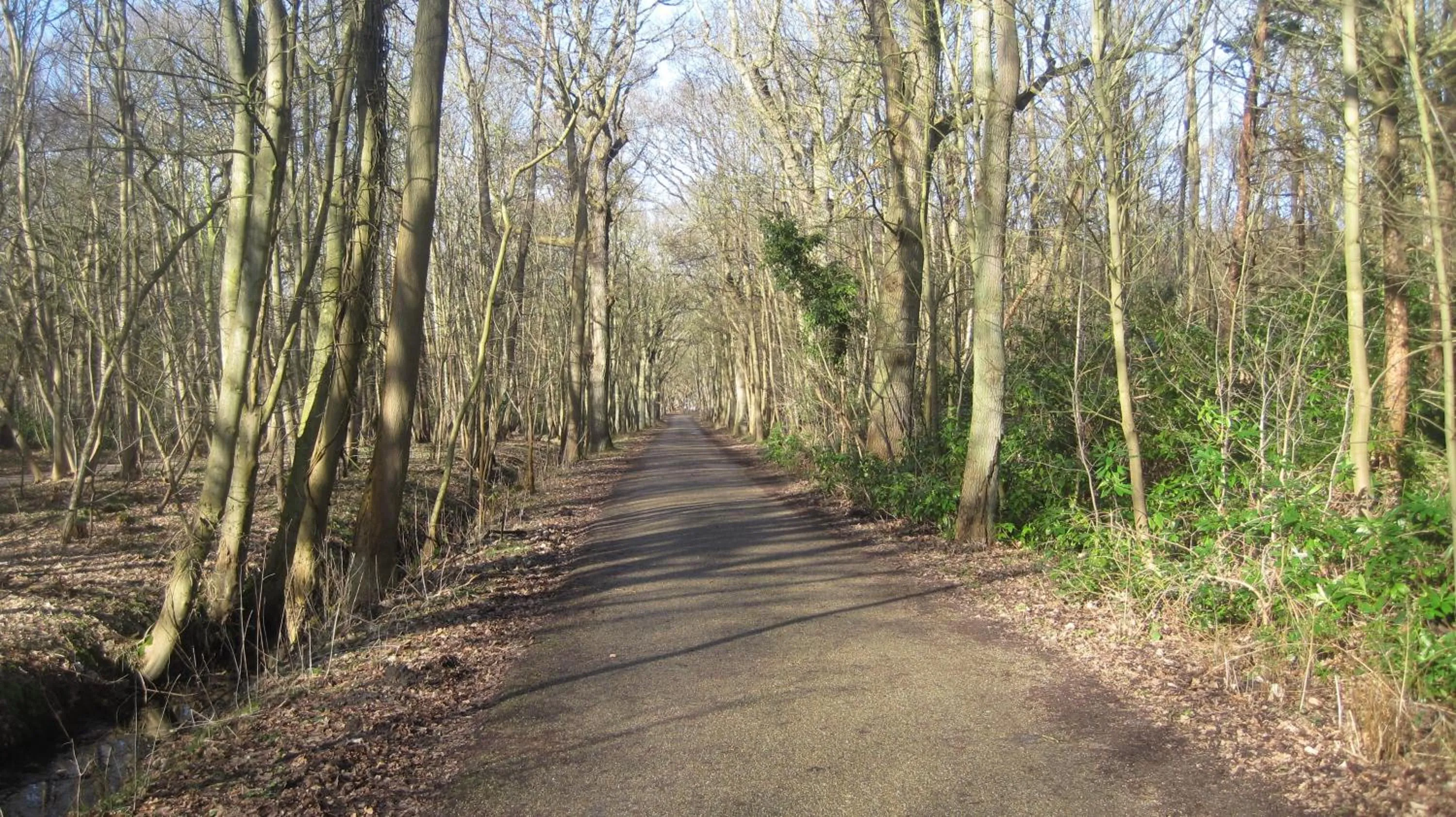Natural landscape in Hotel Restaurant Anno Nu