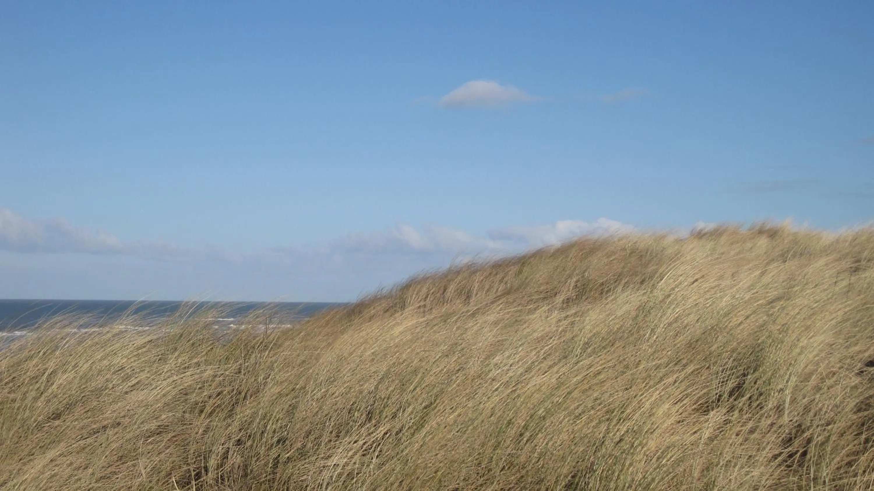 Natural landscape in Hotel Restaurant Anno Nu