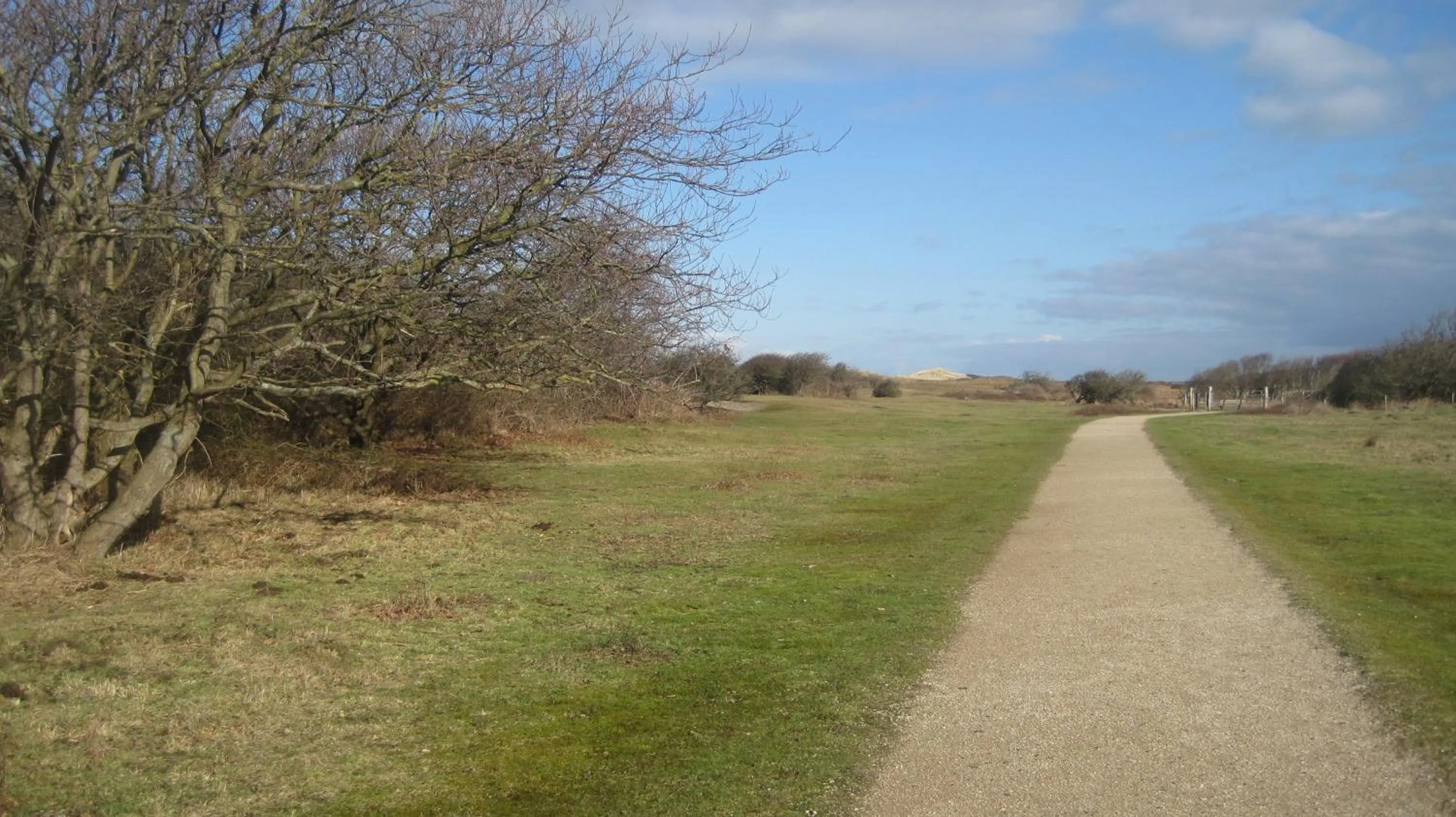 Natural landscape in Hotel Restaurant Anno Nu