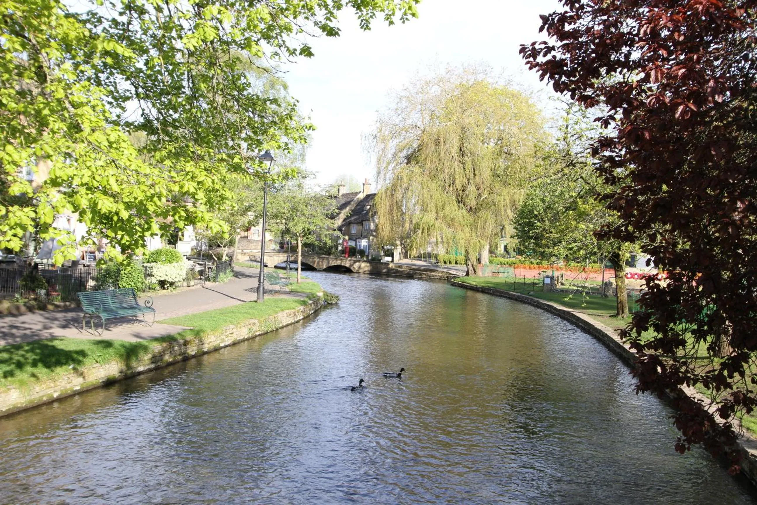 Activities in Meadow Rise Guest House