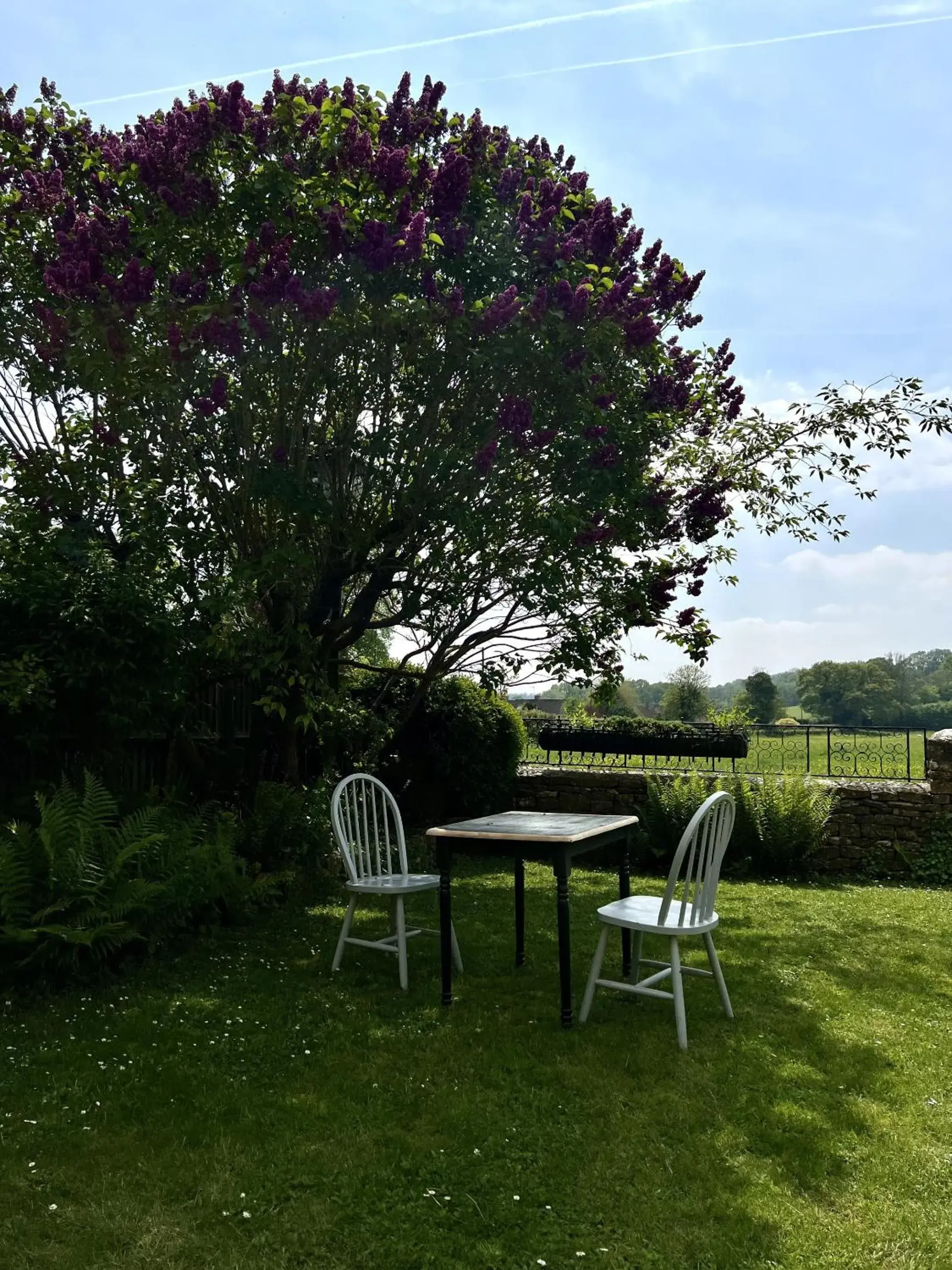 Meadow Rise Guest House Meadow Rise Guest House
