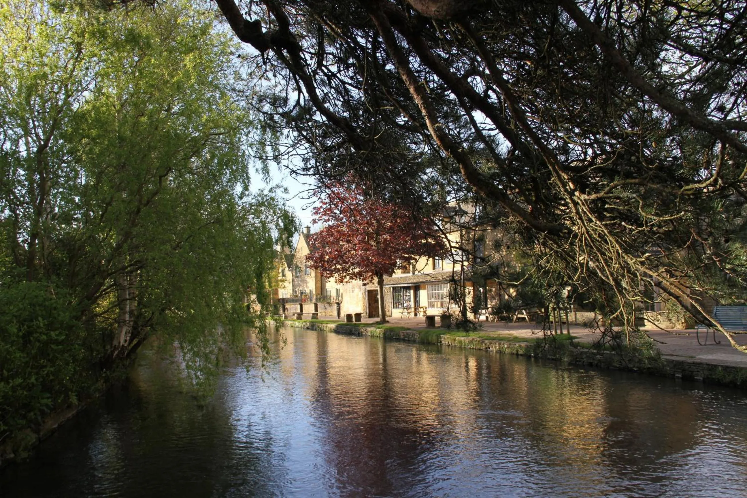 Activities in Meadow Rise Guest House