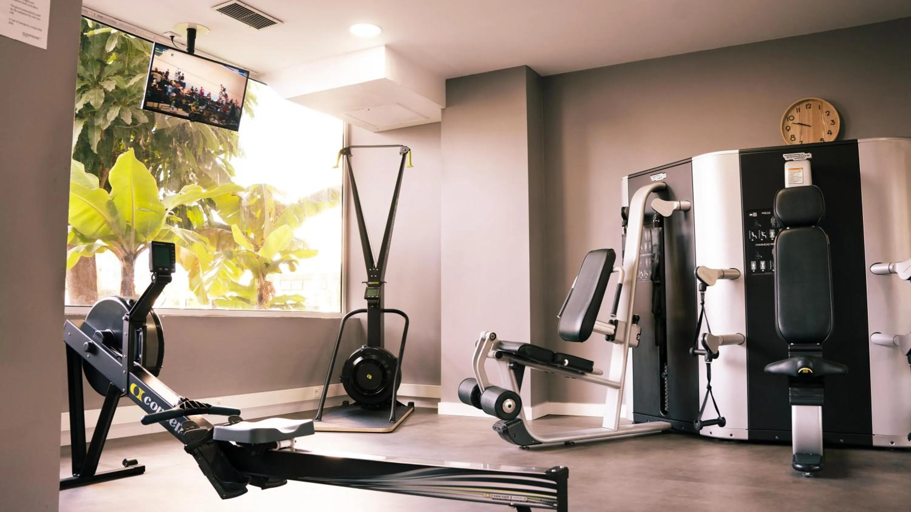 Activities in Coral Suites & Spa - Adults Only