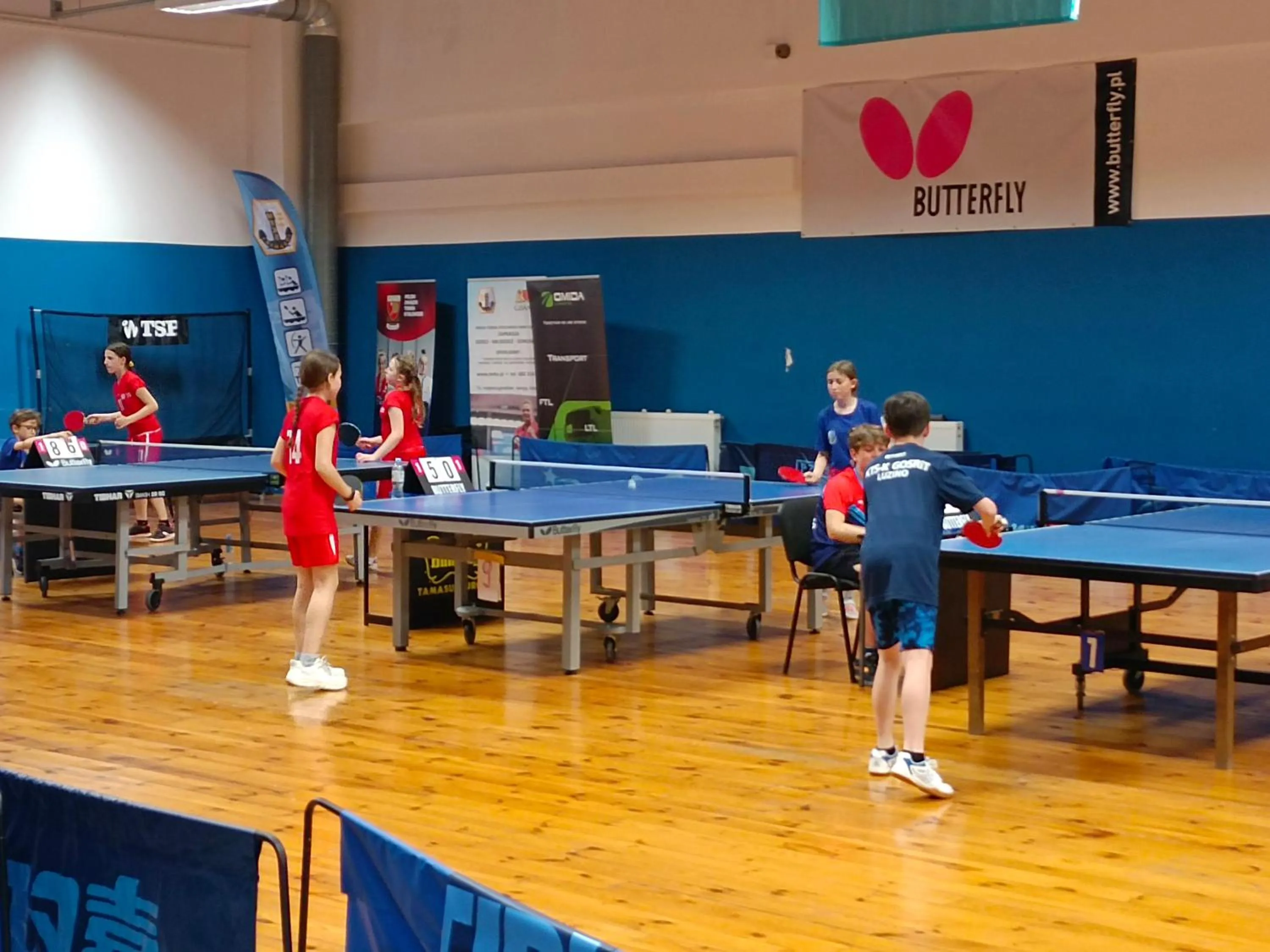Table tennis in Hostel Rakietka