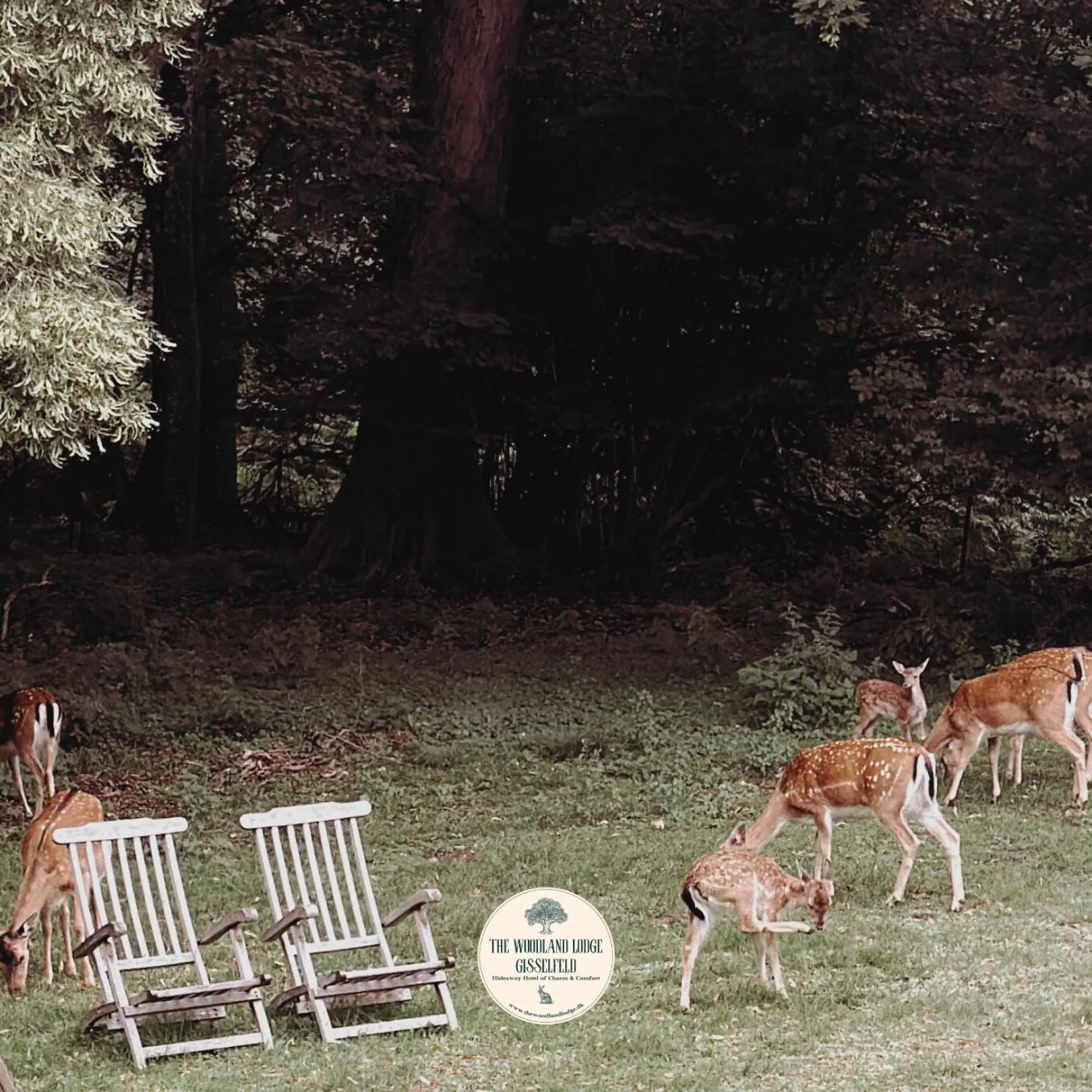 The Woodland Lodge Gisselfeld