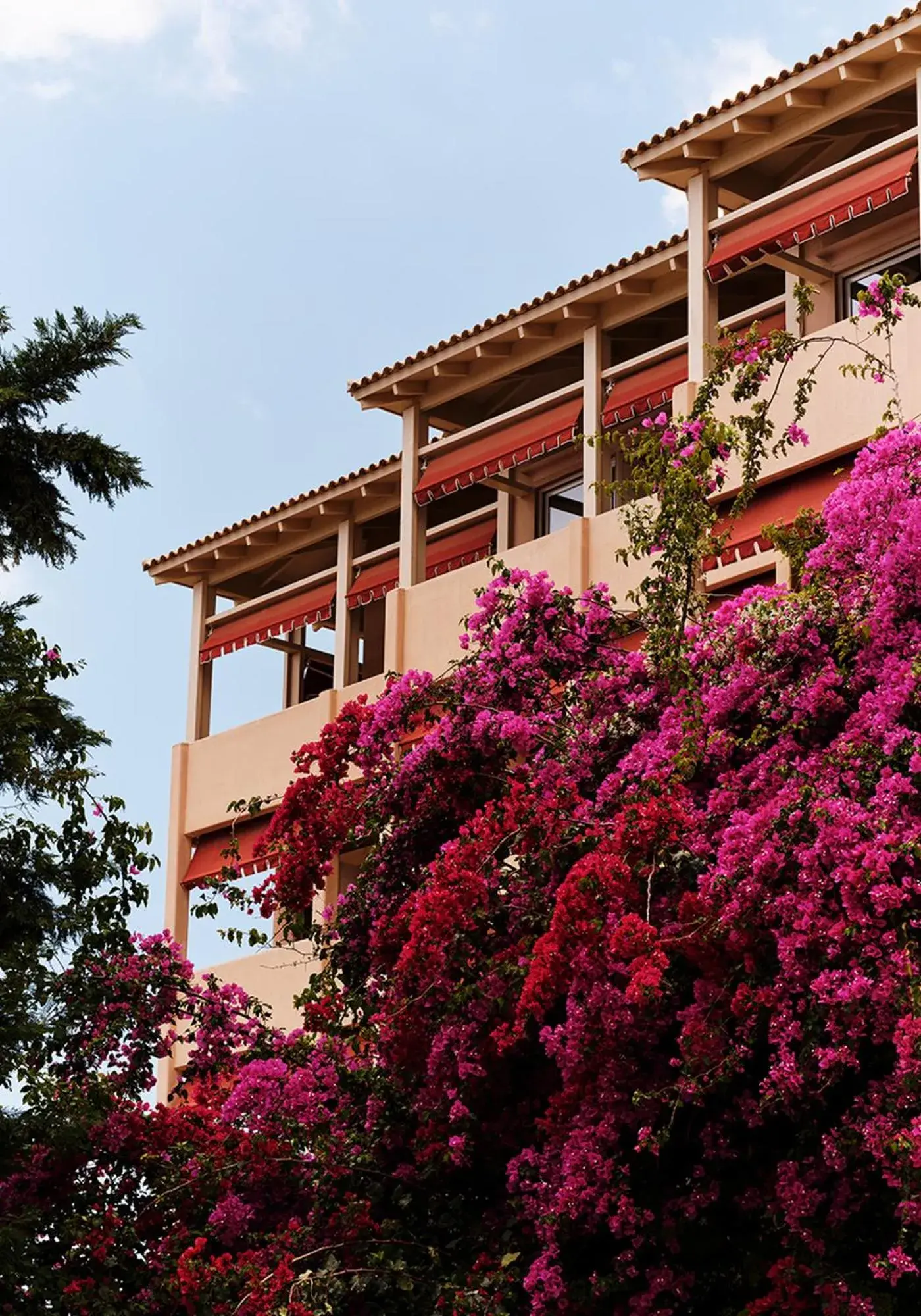 Swimming pool in The Margi Swimming pool in The Margi