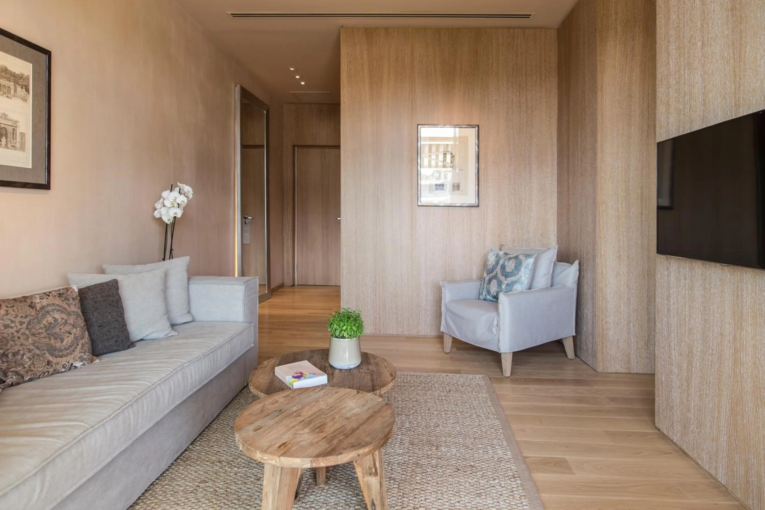 TV and multimedia in The Margi