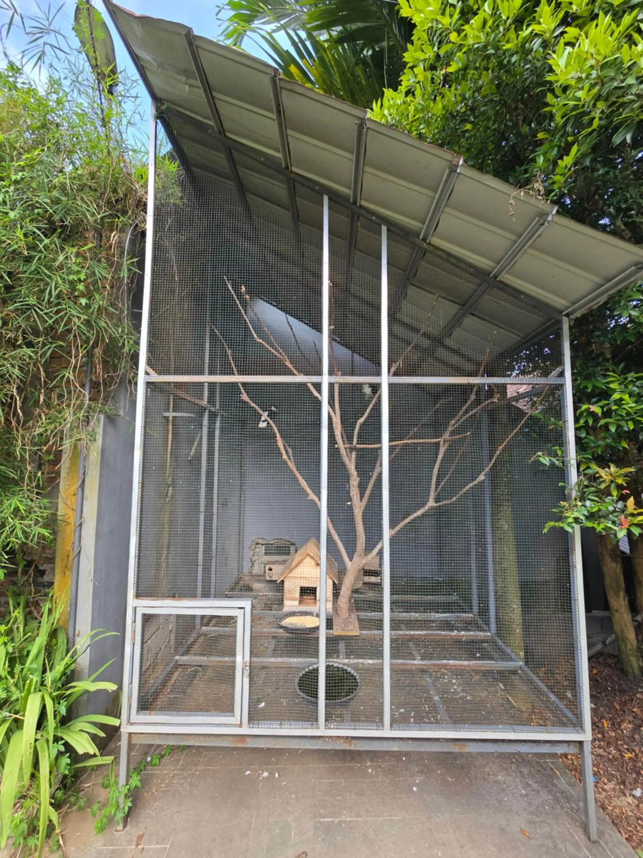 Garden in Kusma Hotel Bandungan Semarang